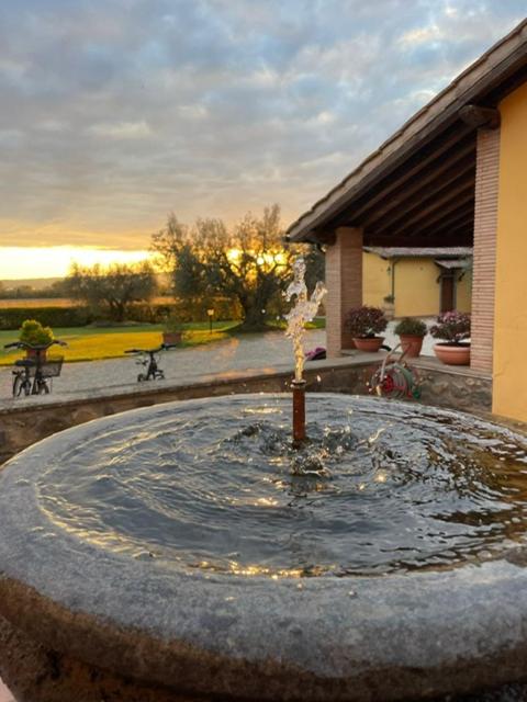 Agriturismo Arlena