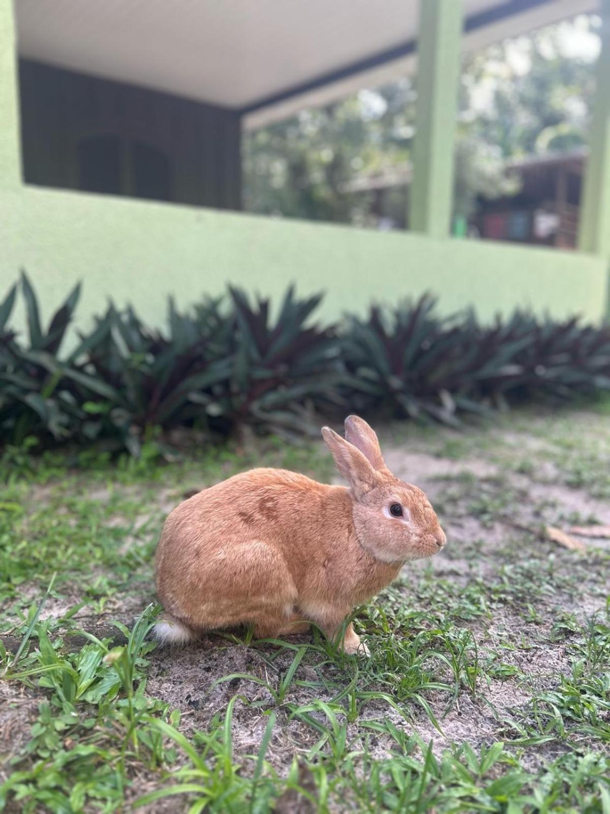 Photo 36