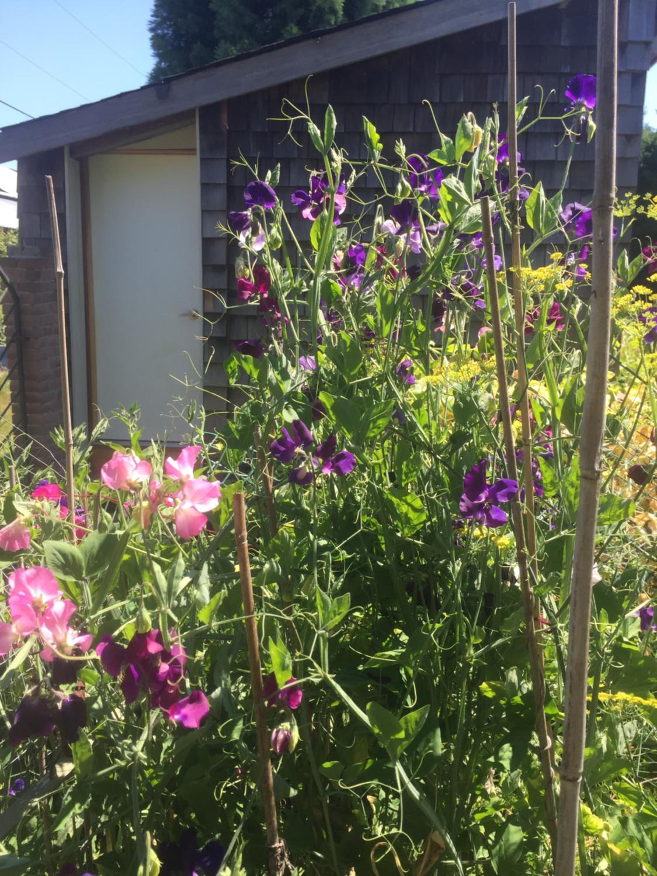 Estuary House Reflexology B&B