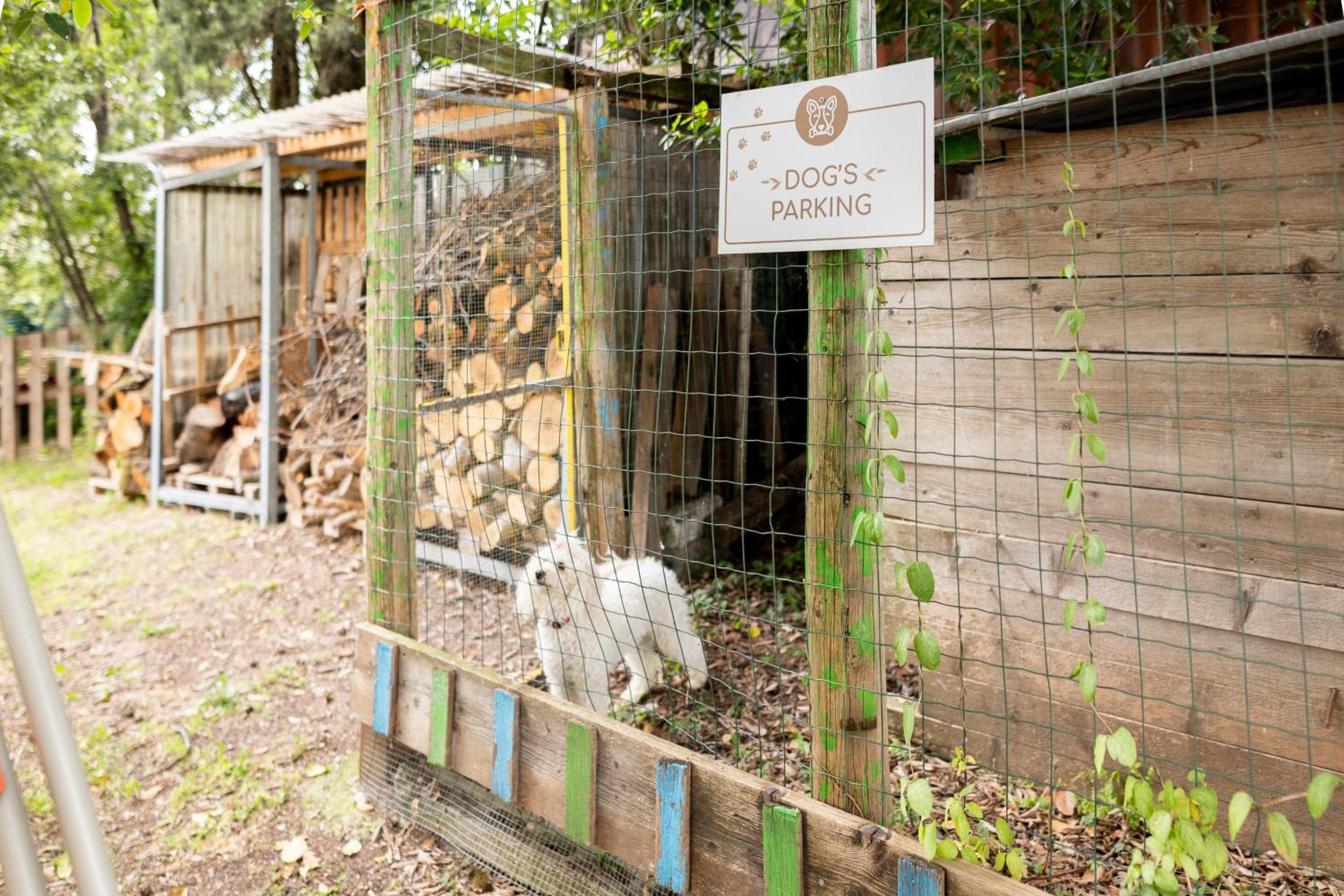 Tenuta EnGi, photo 116