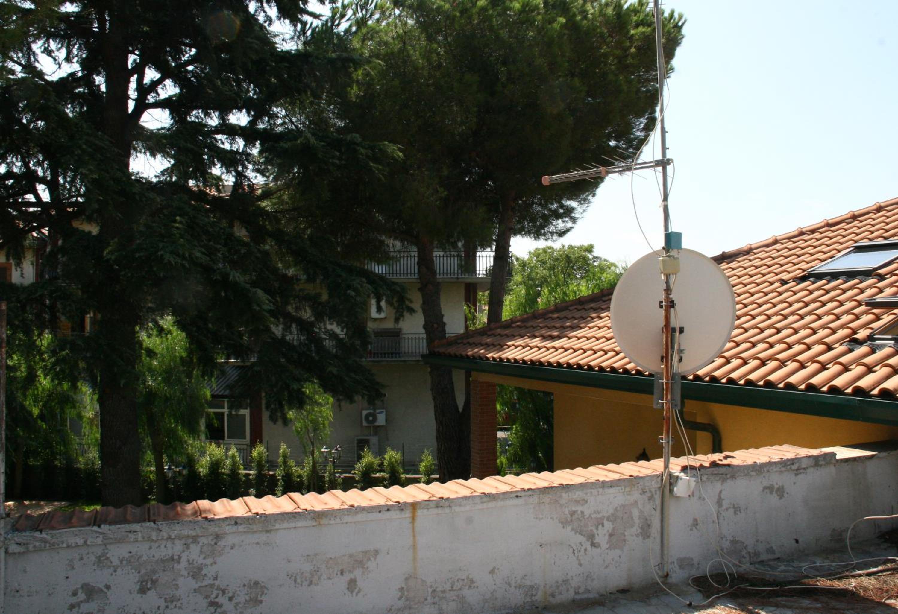 Photo 31