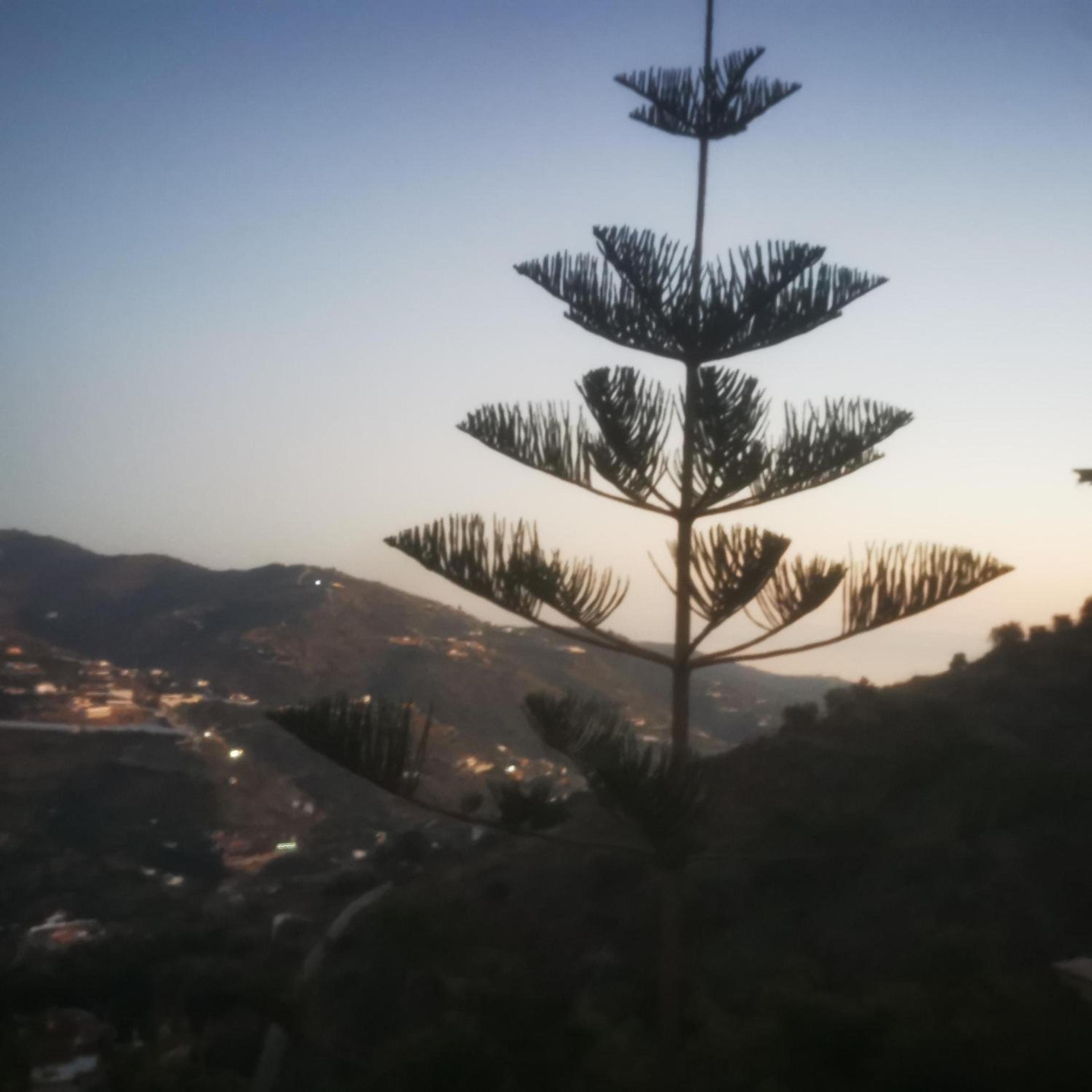 CASA LUXURY MADERA EN LAS MONTAÑAS DE TORROx