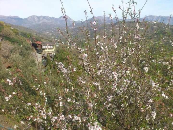 CASA LUXURY MADERA EN LAS MONTAÑAS DE TORROx