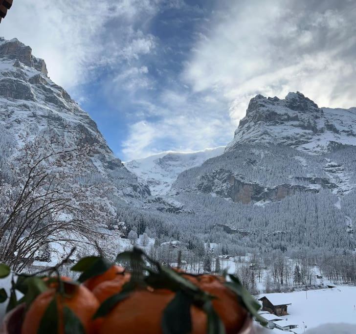 Velvet Eiger