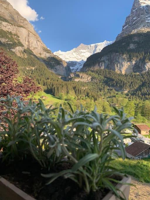 Velvet Eiger