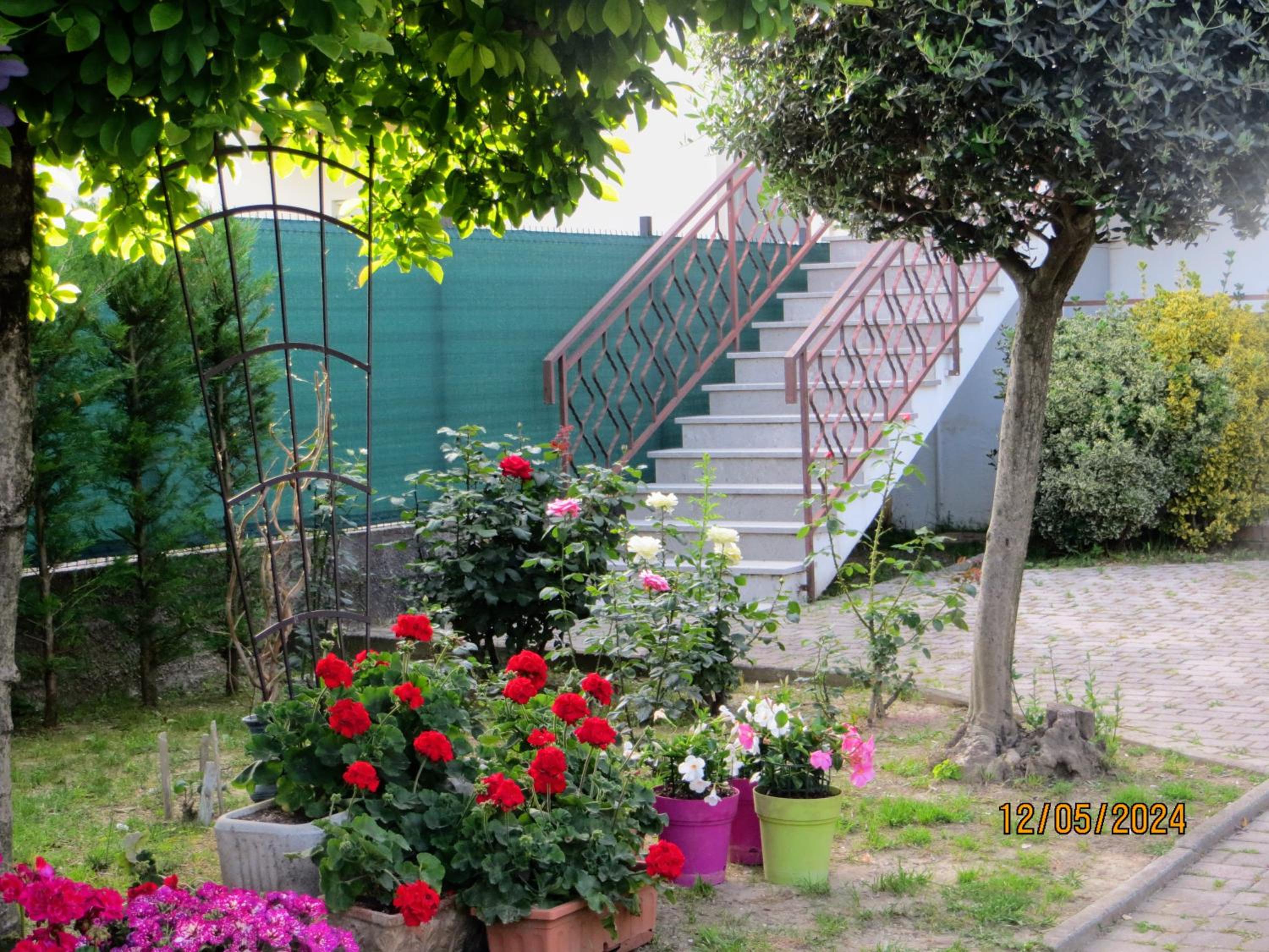 5 Palme view 5
