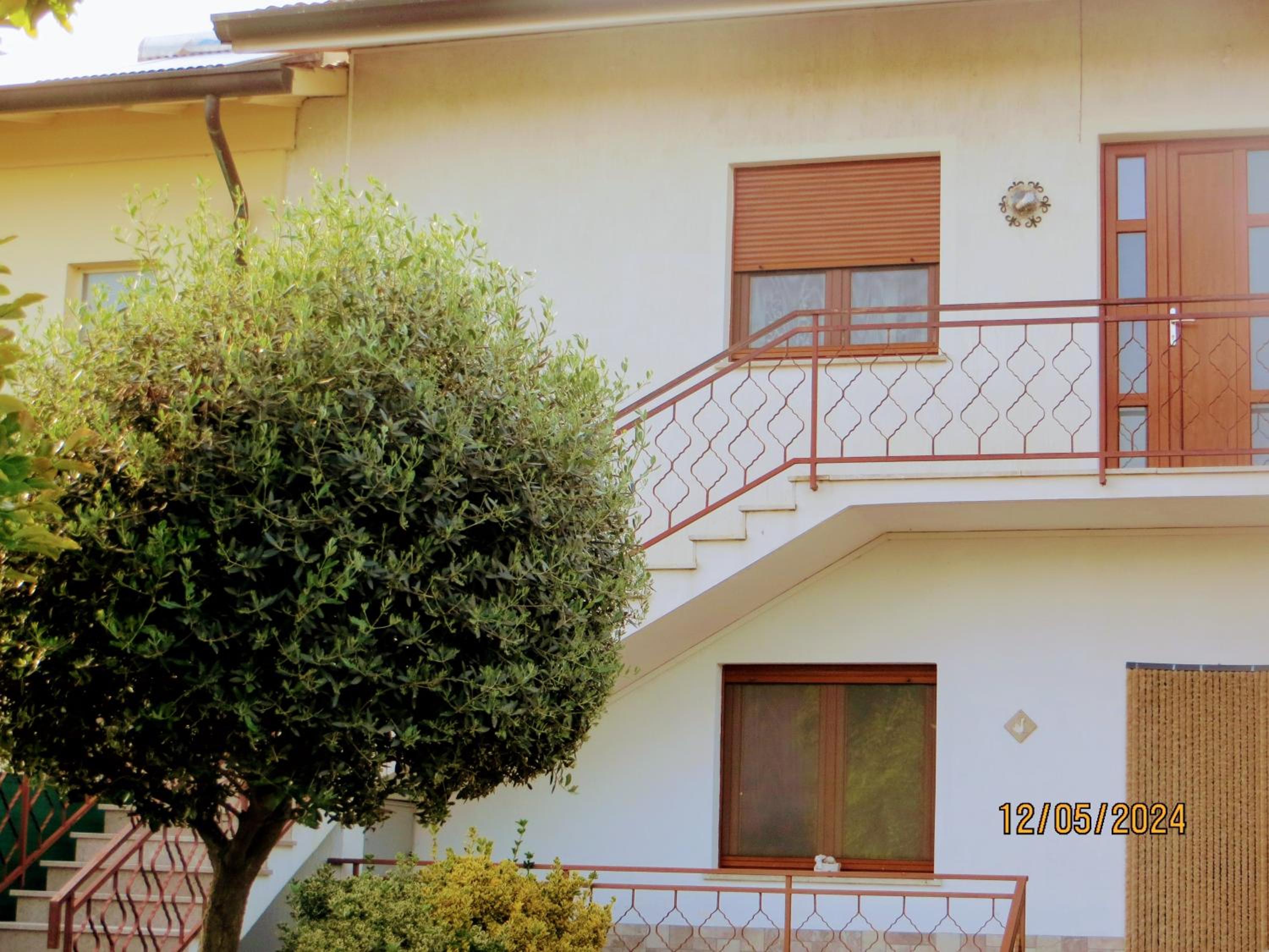 5 Palme view 3