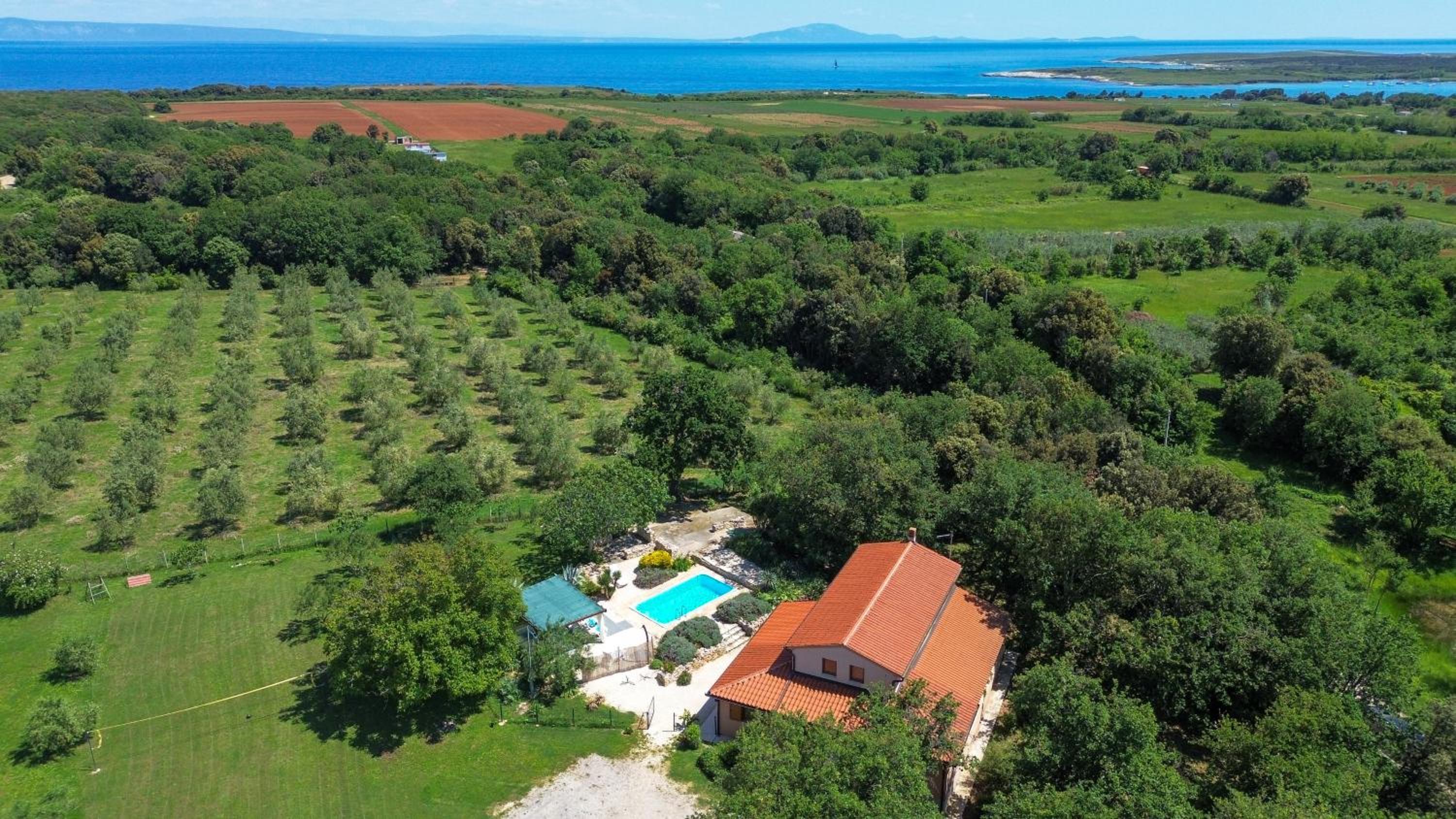 Vila Palera