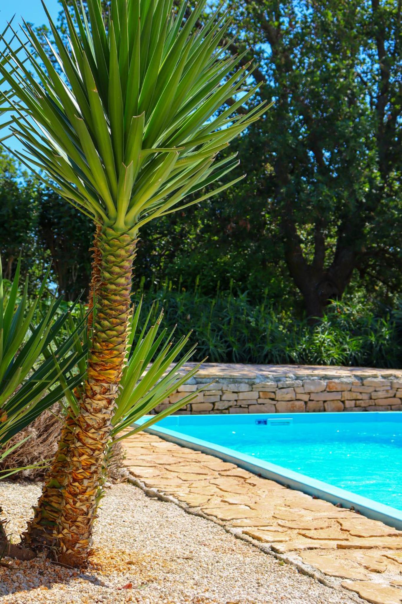 Vila Palera