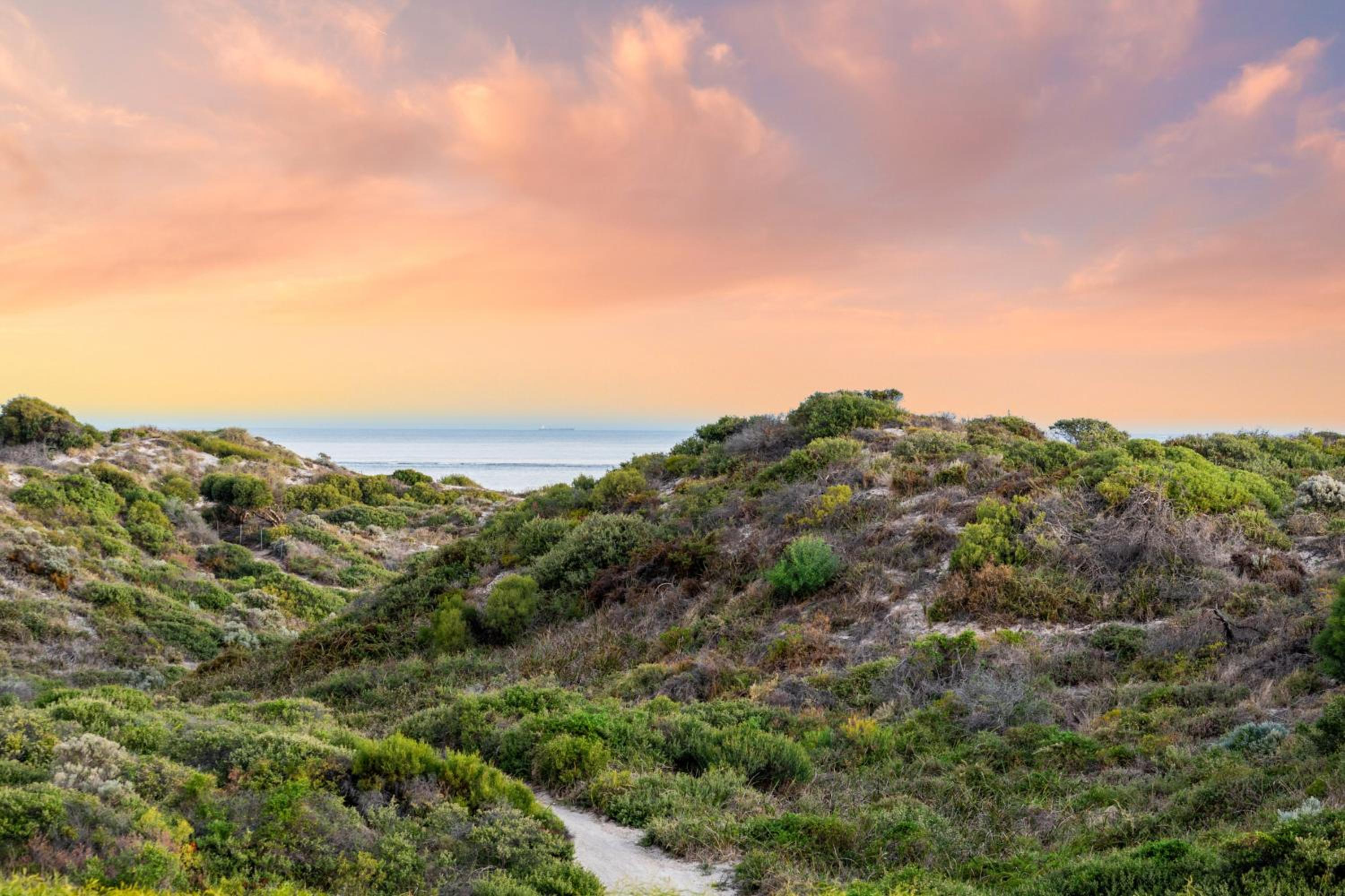 Beachside Bliss 1BR Mindarie