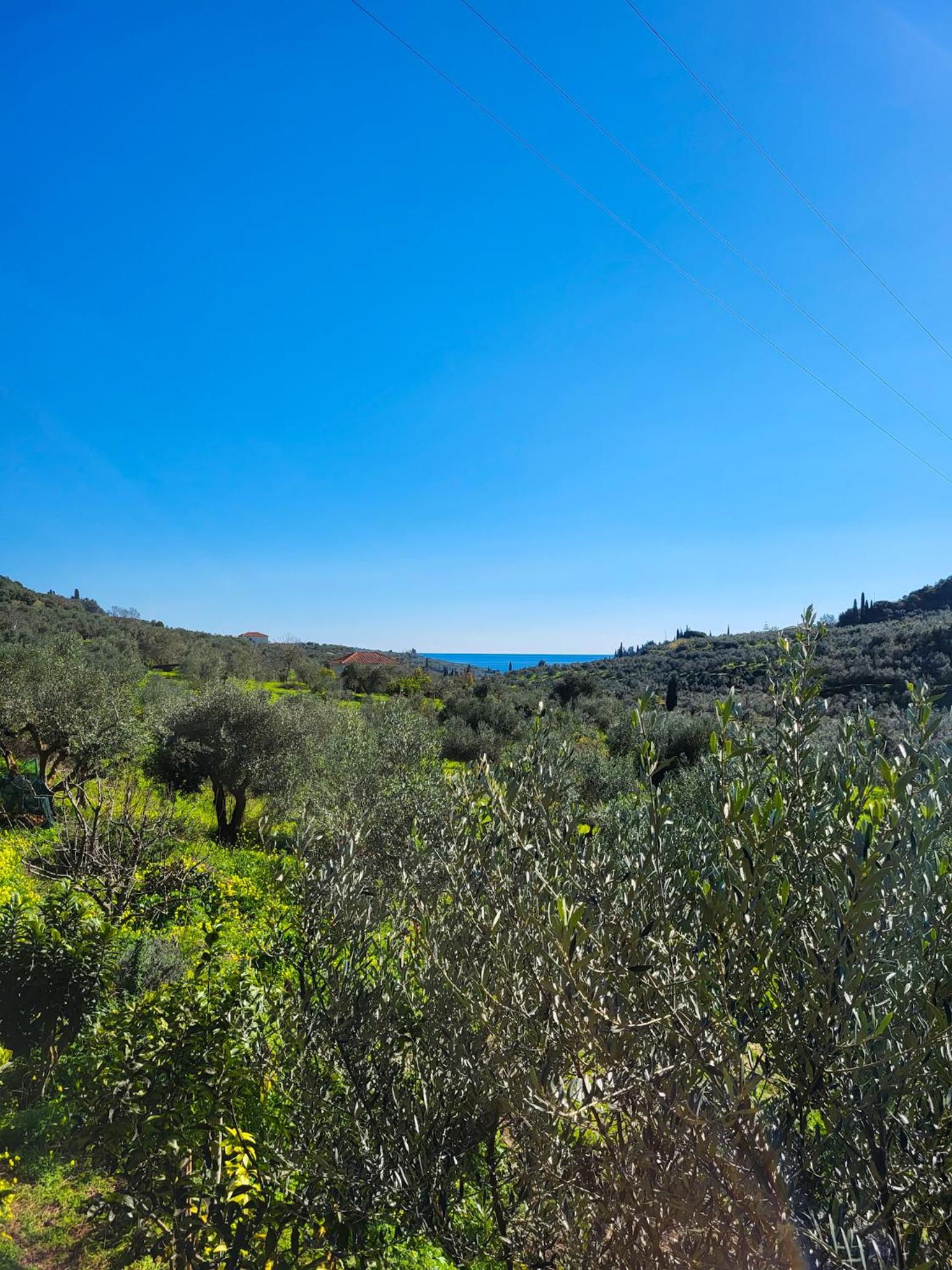 Koroni Kamares Valley Farm Amidst Olive Groves view 3