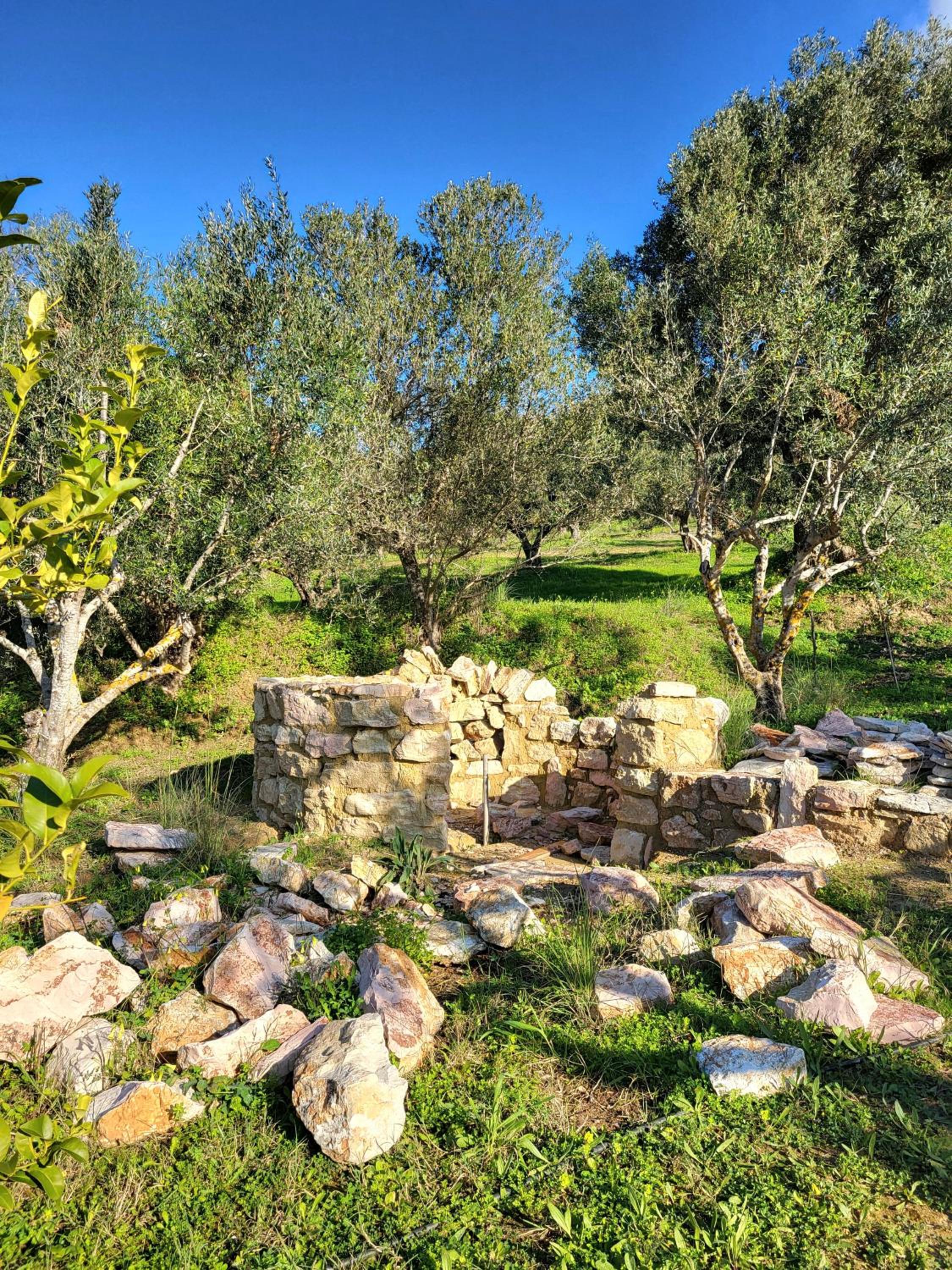 Koroni Kamares Valley Farm Amidst Olive Groves view 4