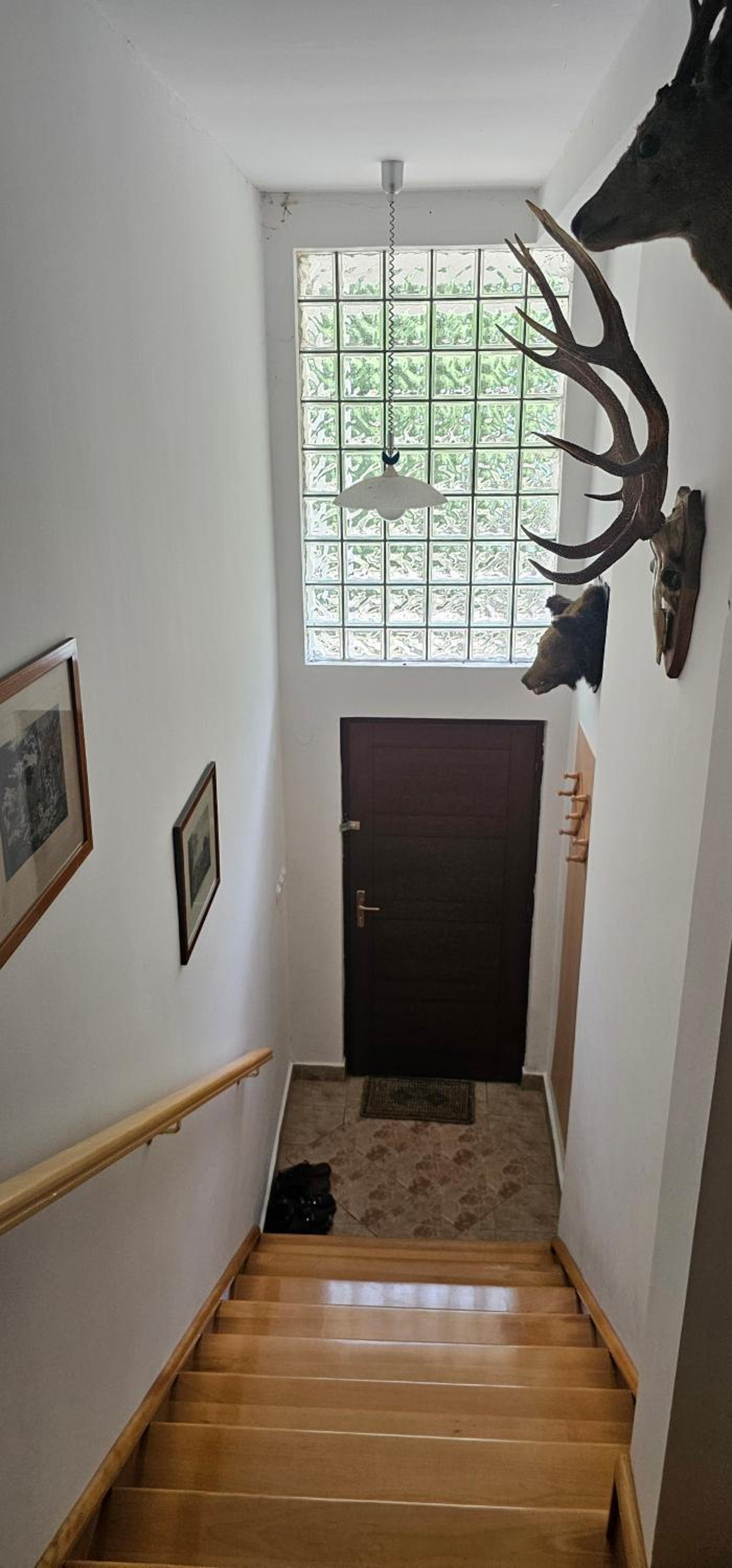 Vila Jagoda