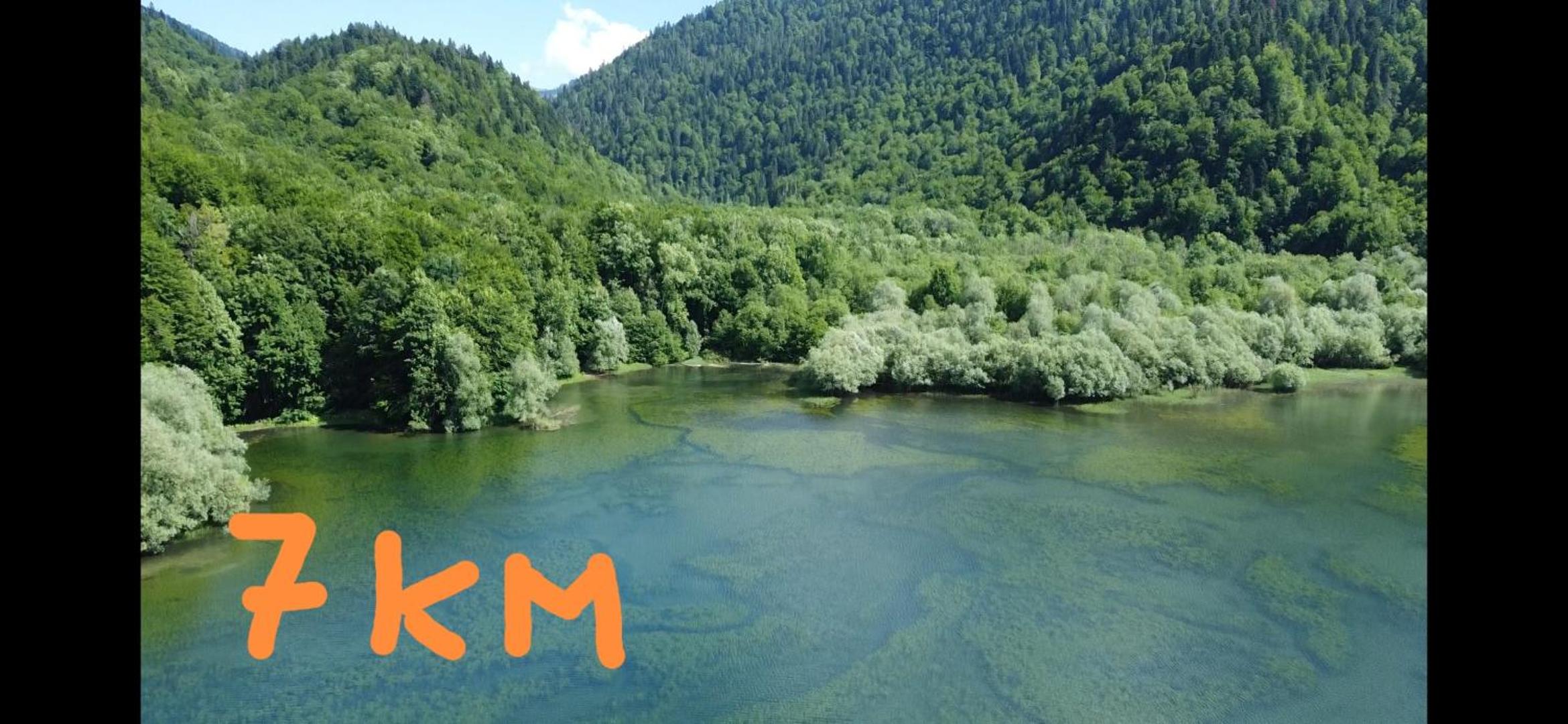 Pine corner Mojkovac