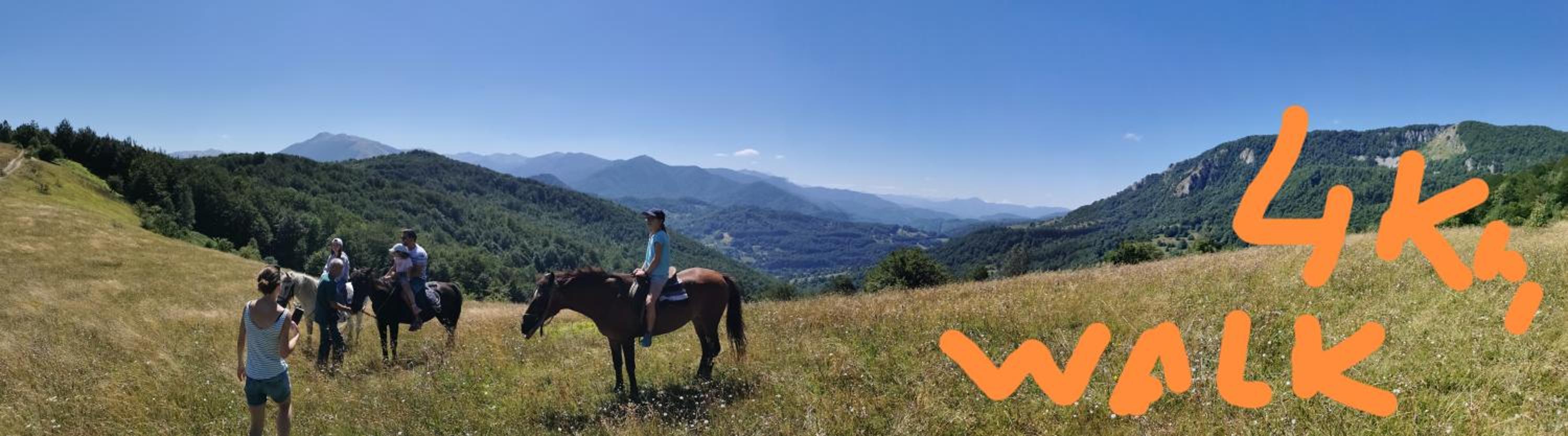 Pine corner Mojkovac