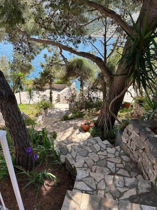 Seaview Shadow House