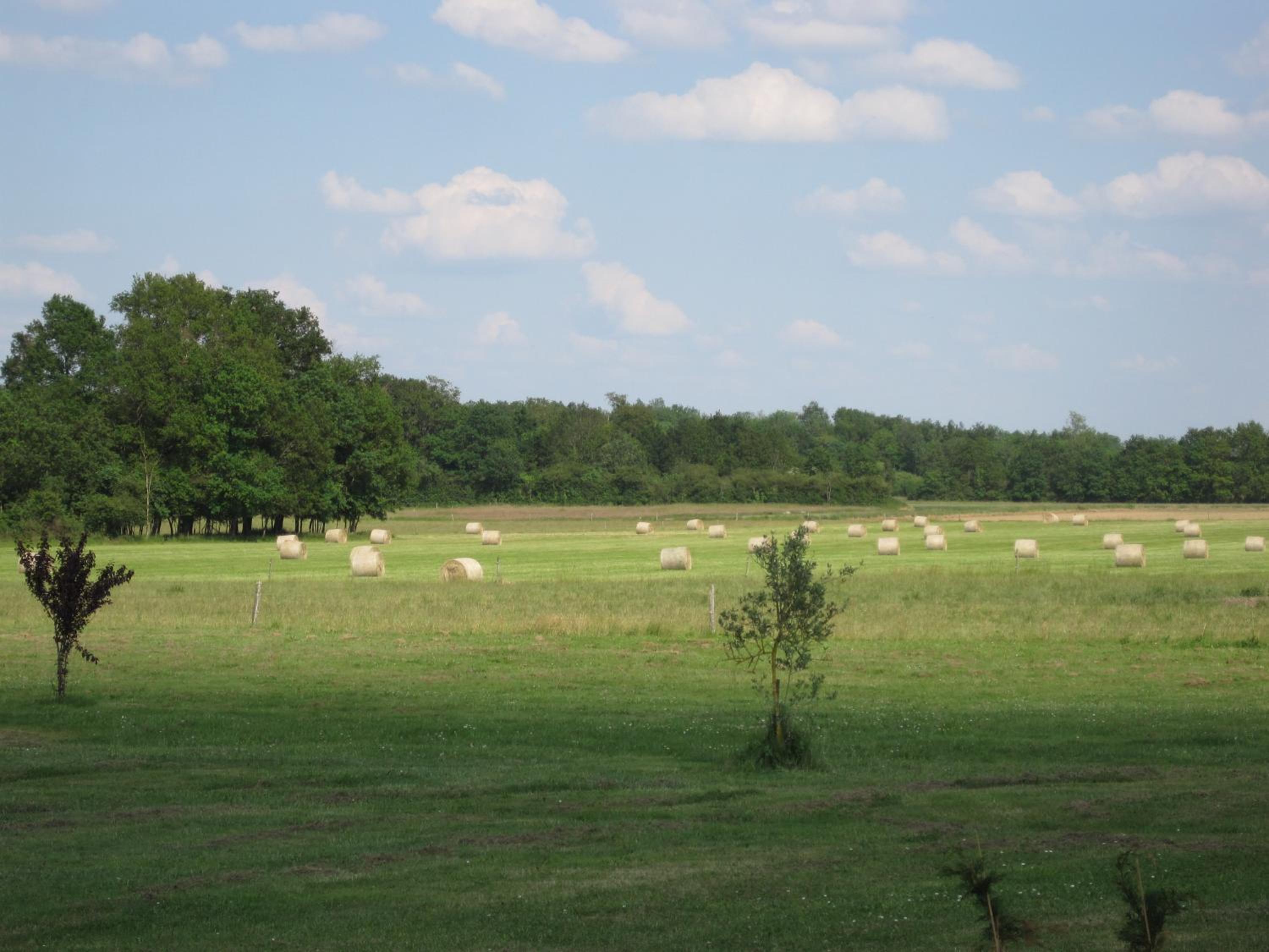 La Petite Grange view 2