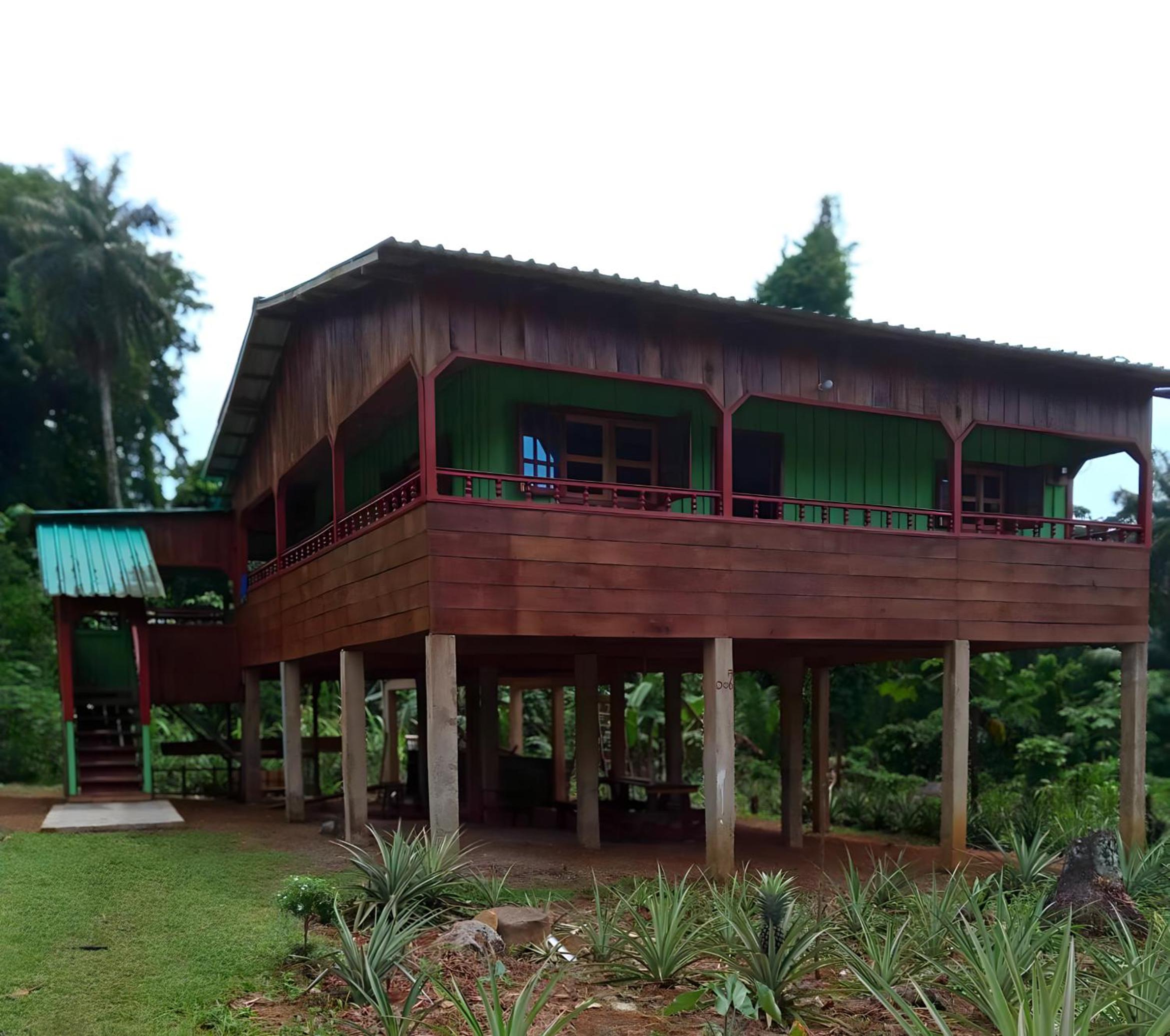 Casas Salomão view 4