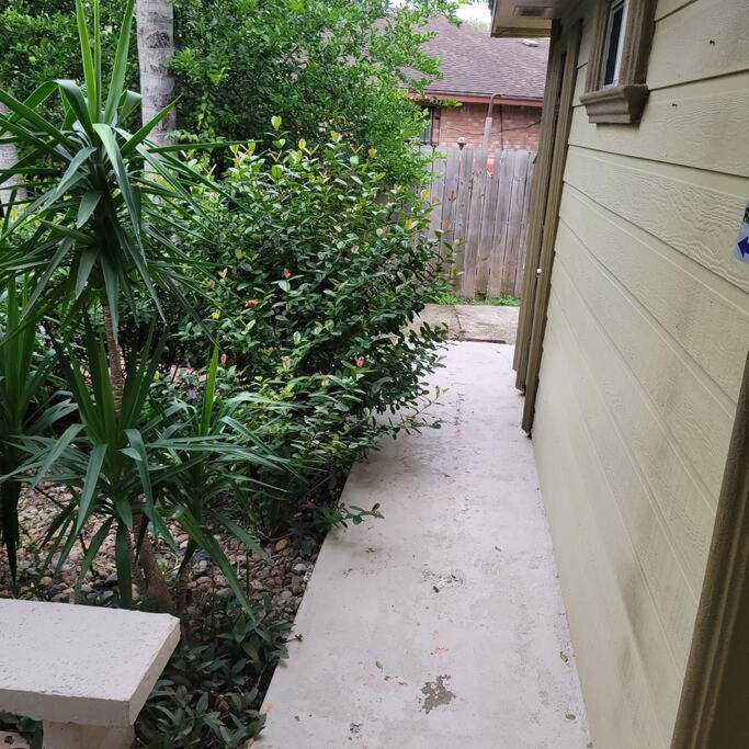 Photo 21