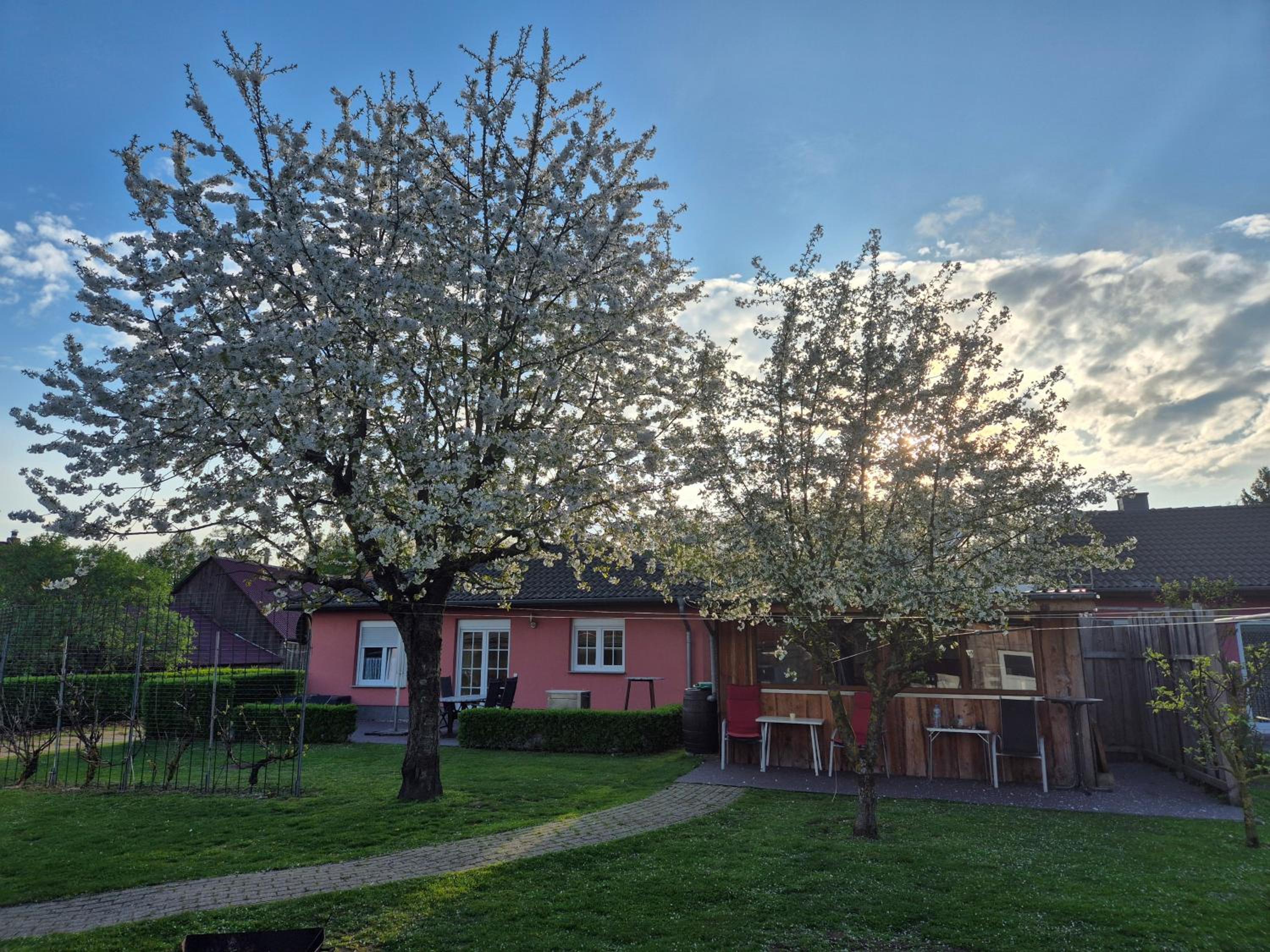 Ferienhaus SIGGI view 4