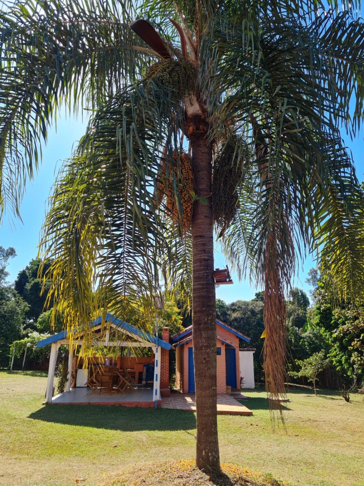 Chácara Santo Antonio