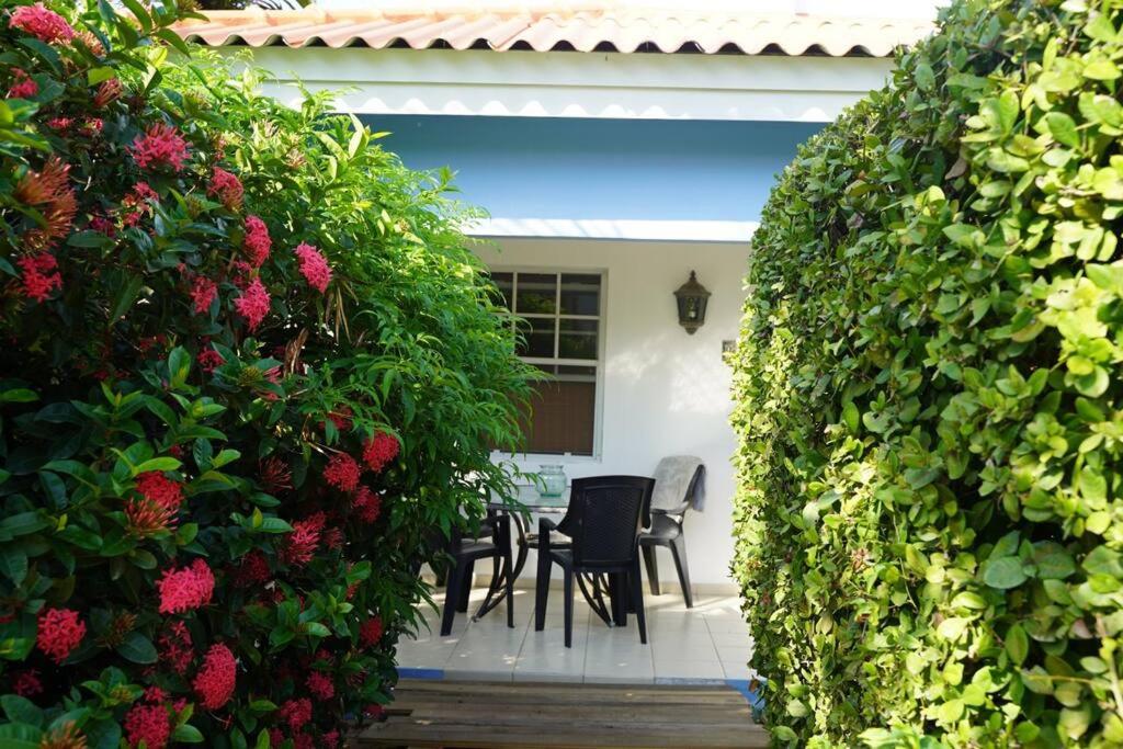 PURU AT JANTHIEL 9C - with pool, outdoor lounge and close to the beach