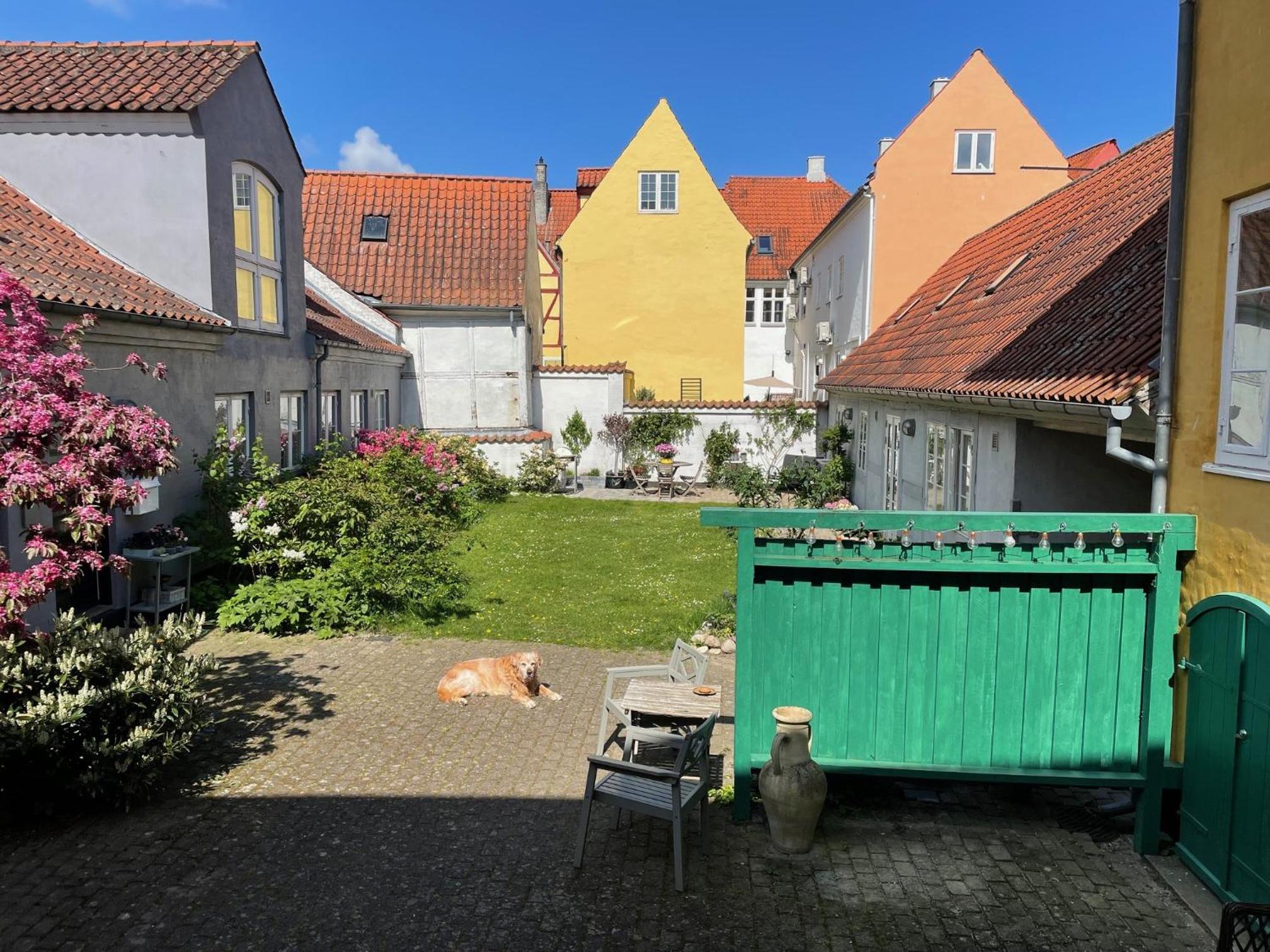 Cozy apartment in the center of Helsingør