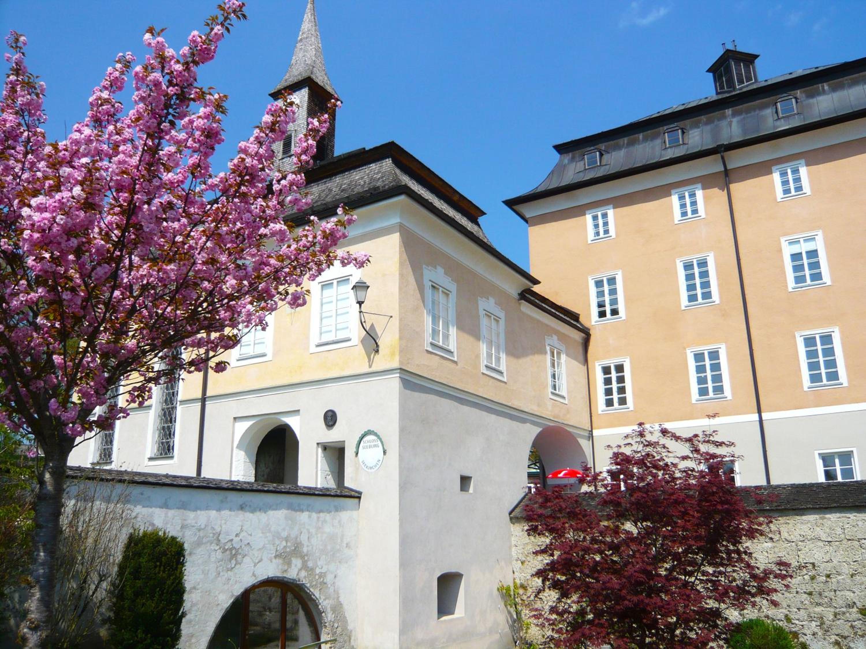Haus am Weinberg view 3