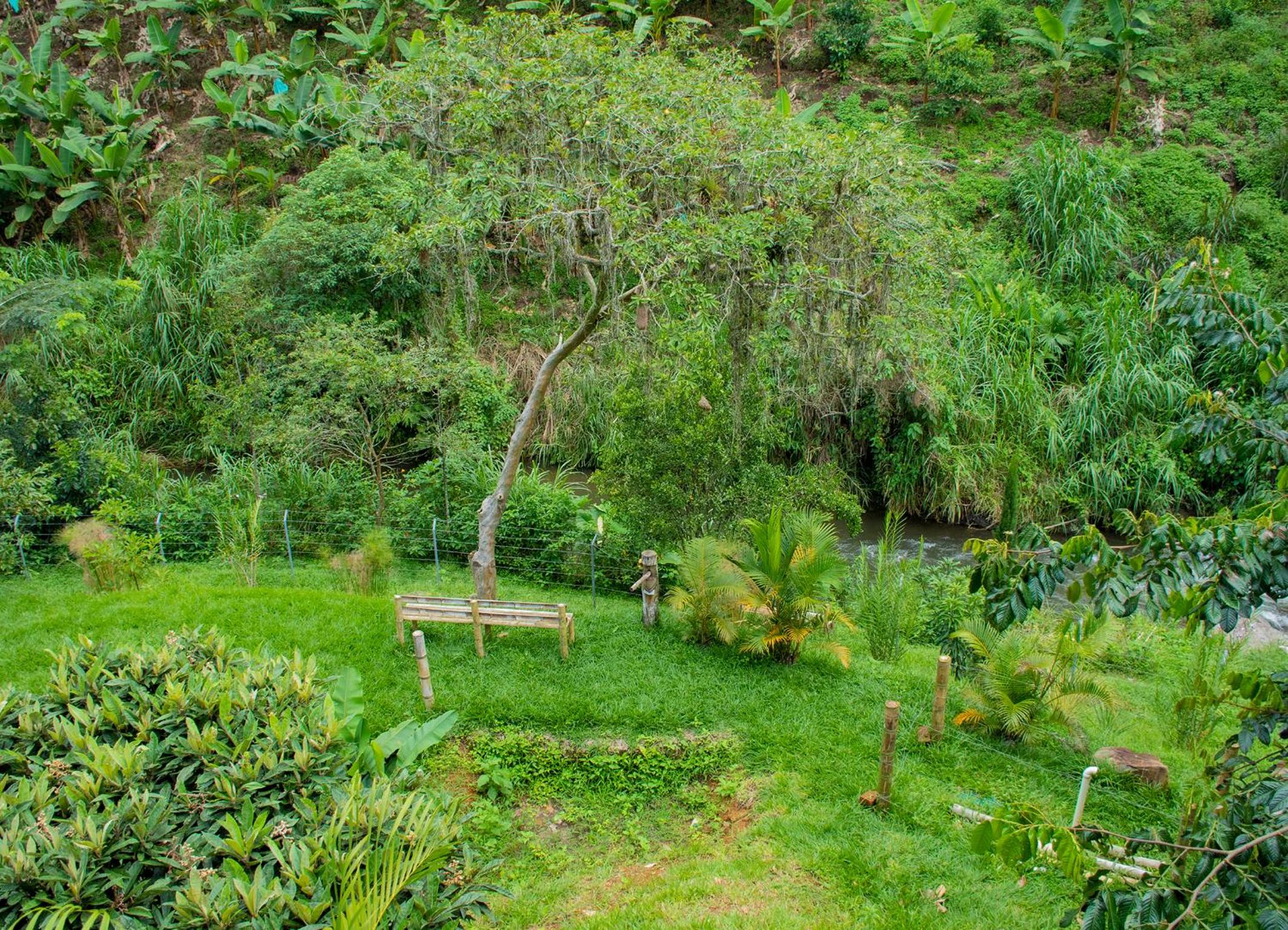Finca hotel el porvenir