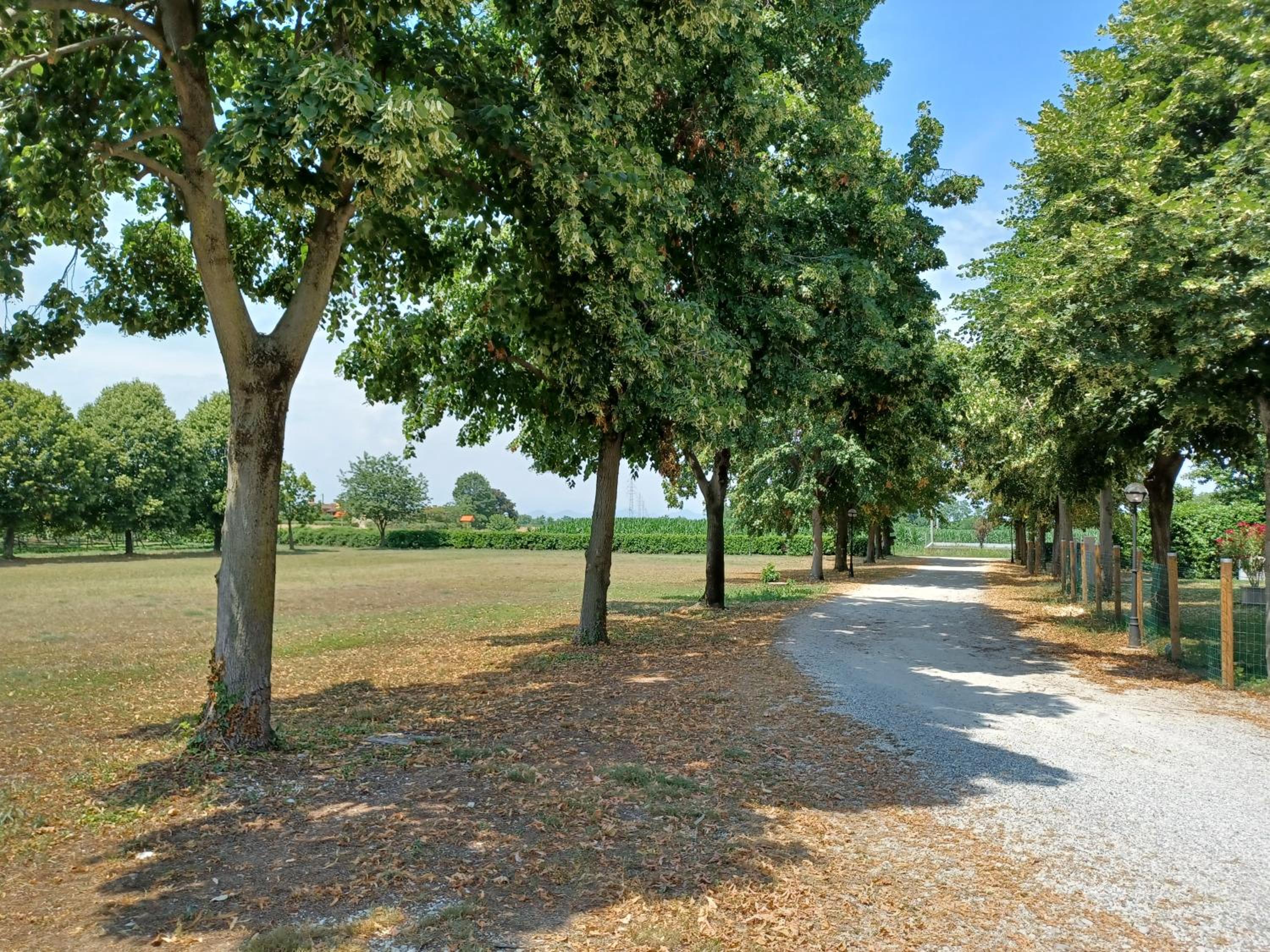 Alloggio agrituristico Zambon