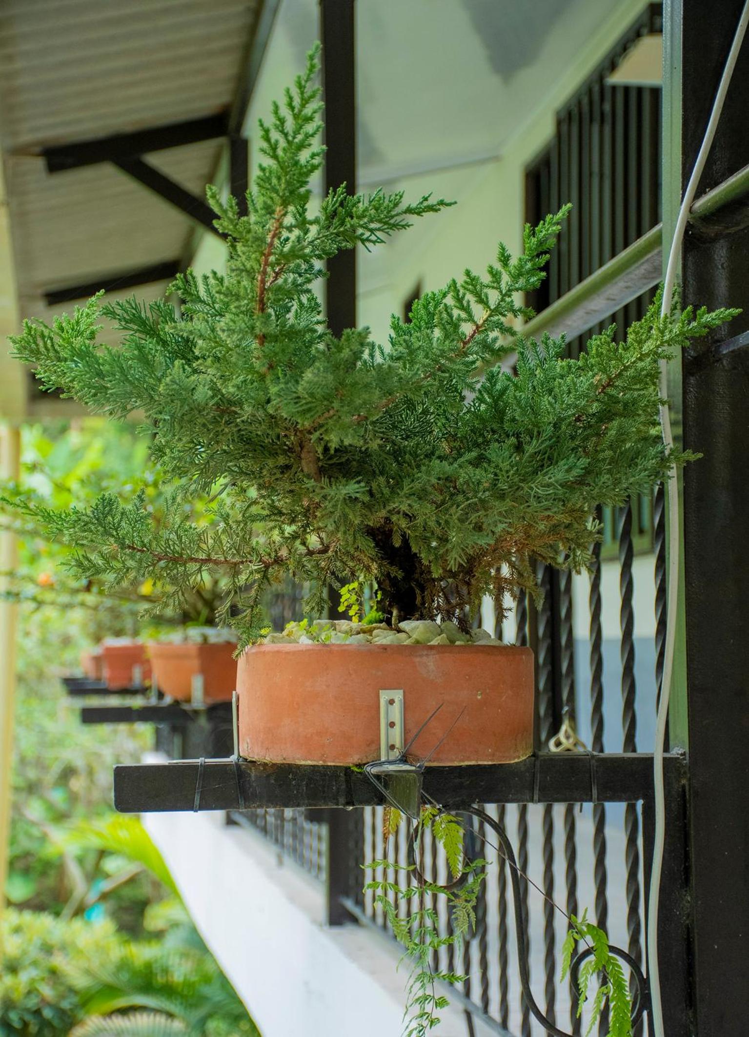 Finca hotel el porvenir