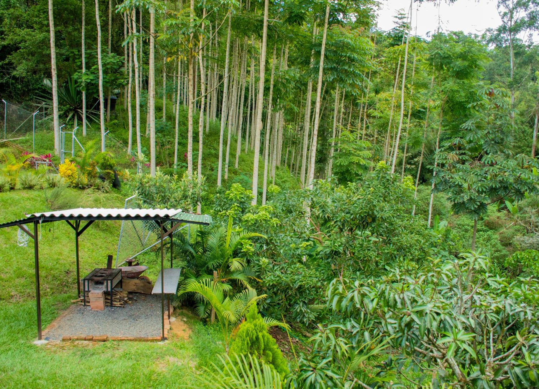 Finca hotel el porvenir