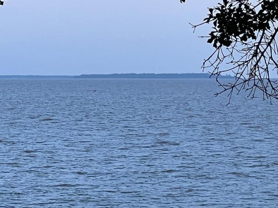 Lakefront cozy cabin&jetski. view 3