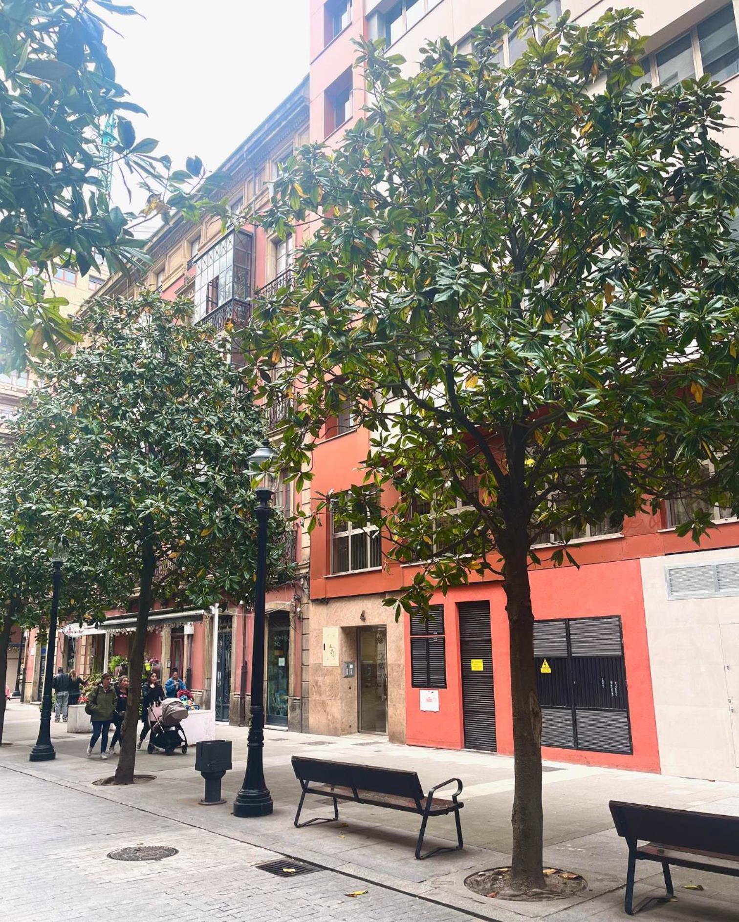 EL MIRADOR DEL CENTRO