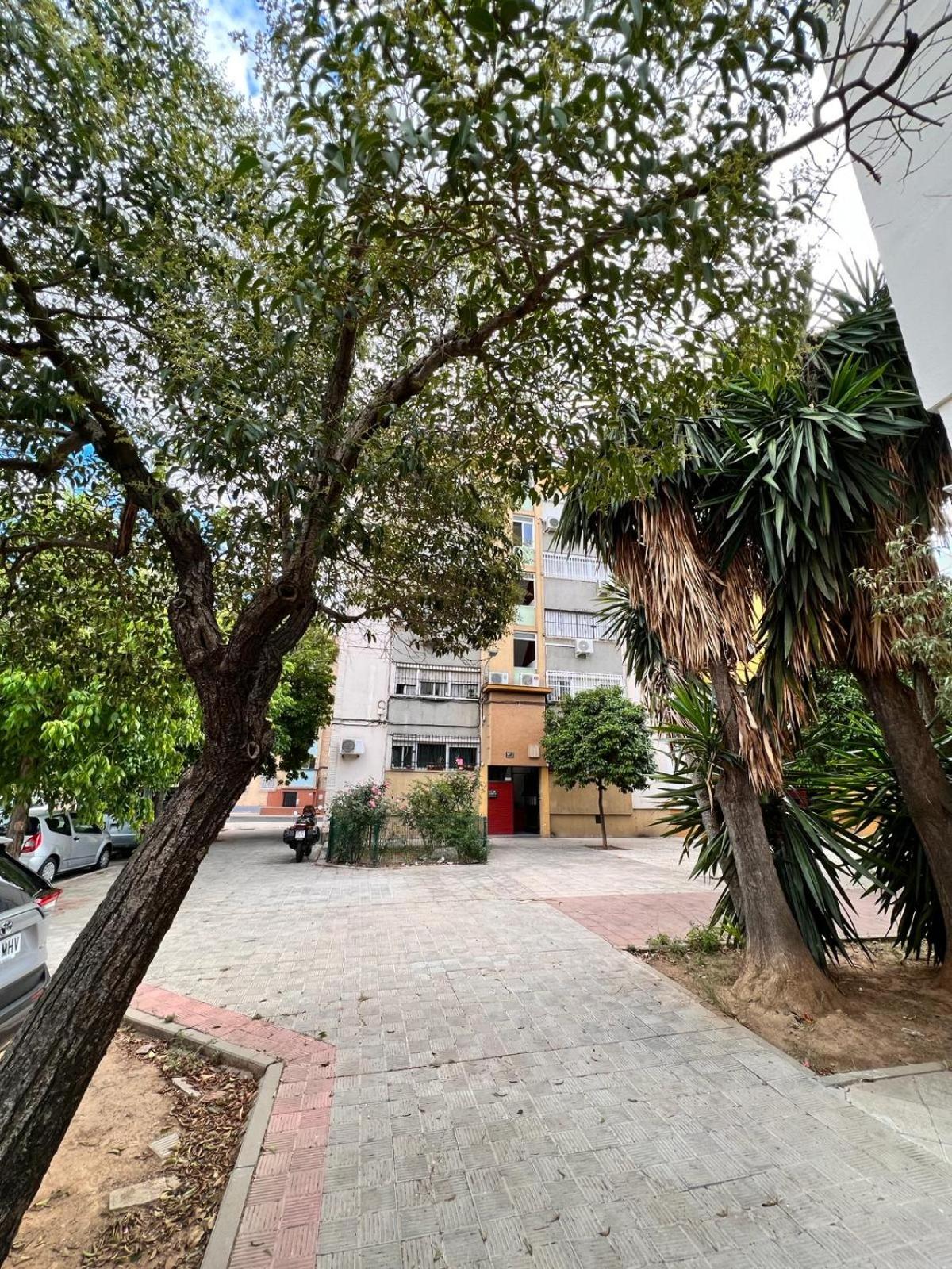 COMFORTABLE & NICE APARTMENT SEVILLE