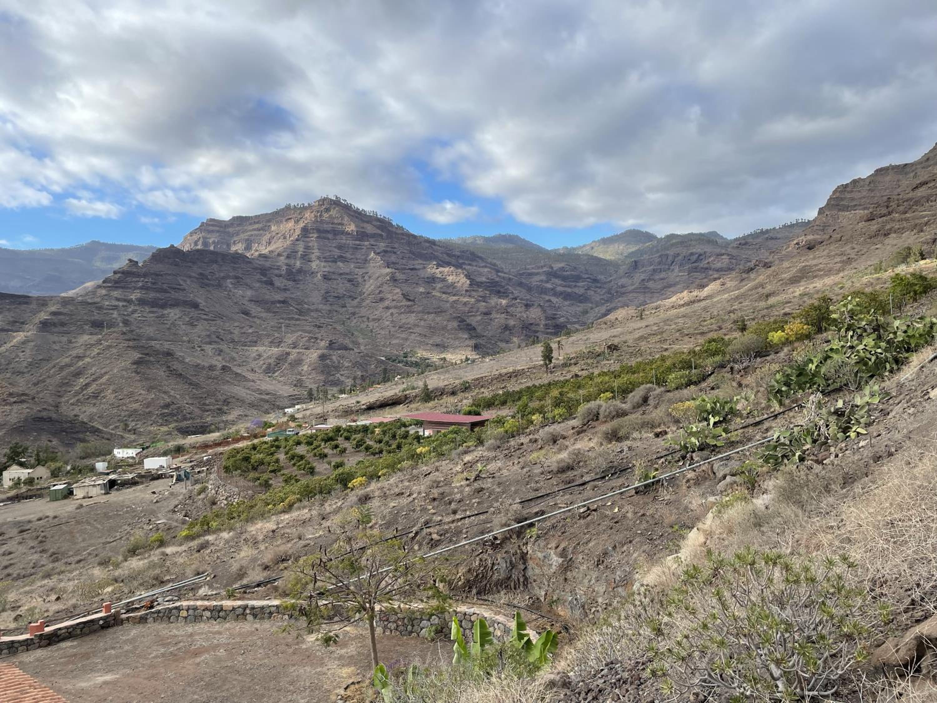 Finca Los Dioses III