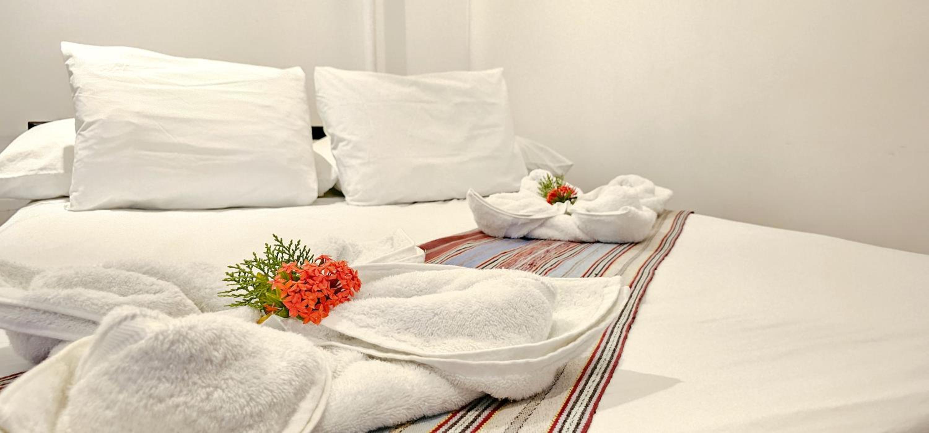Casa Oro Eco Hostel