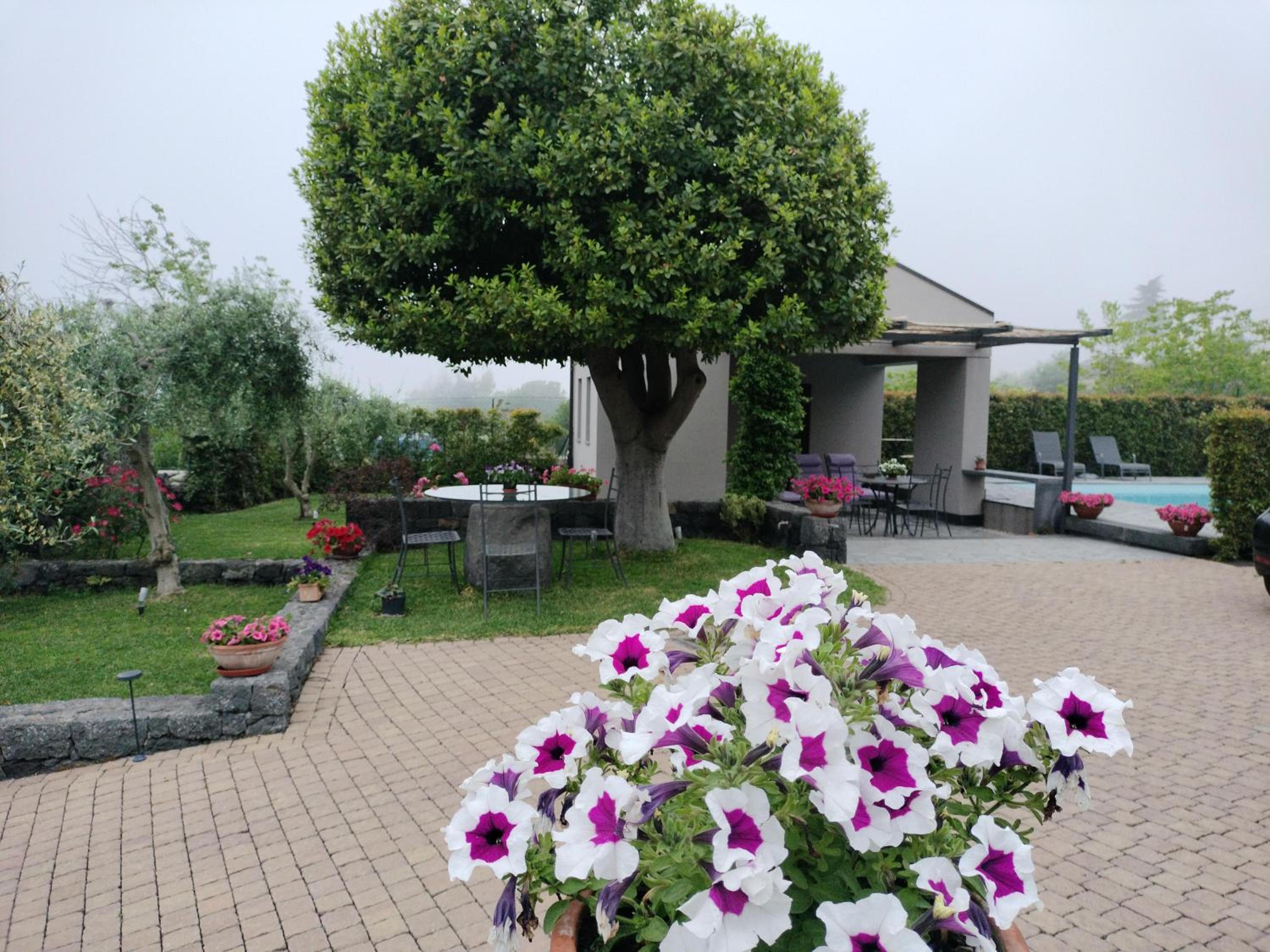 La Casa dell'Alloro