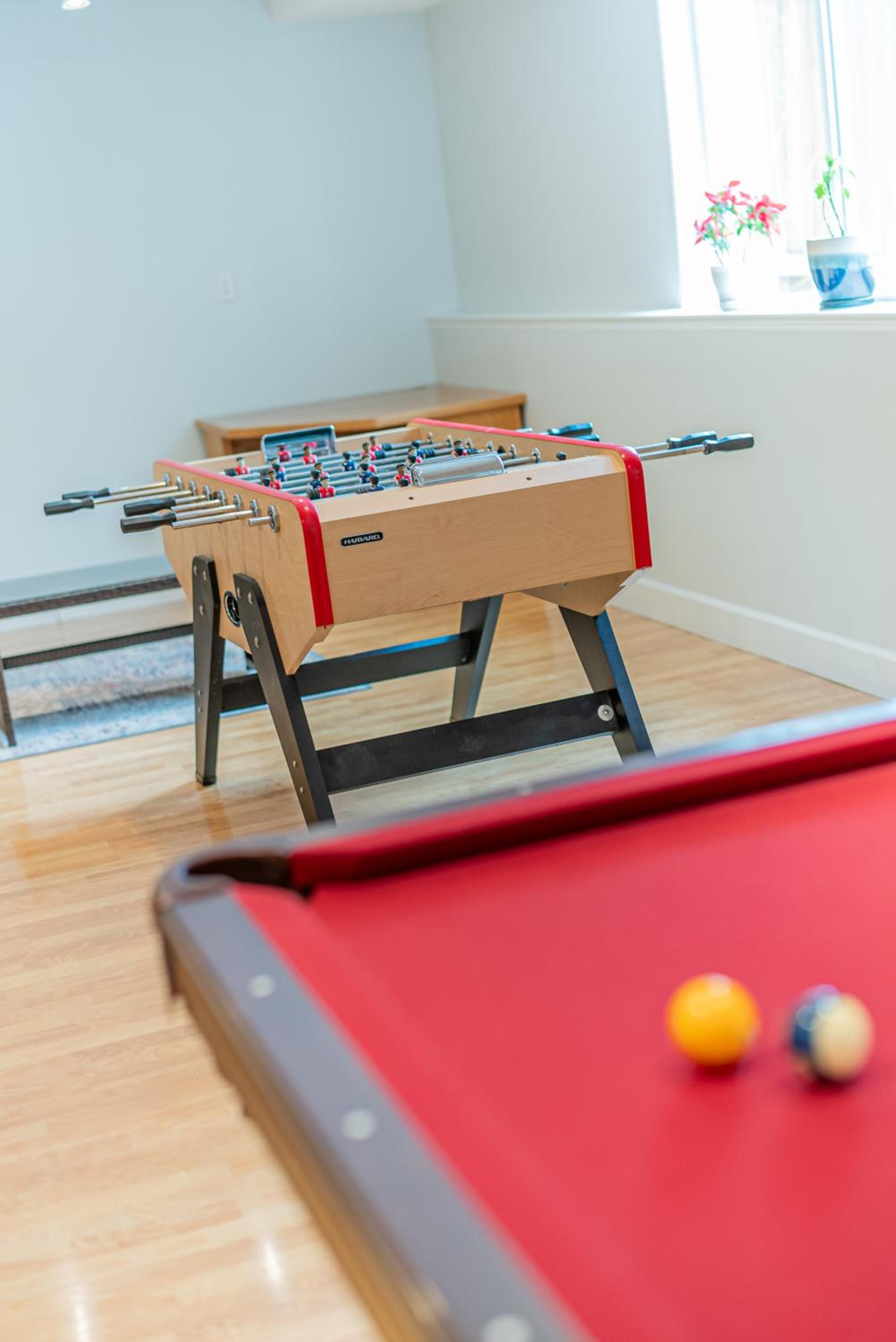 activities & amenities