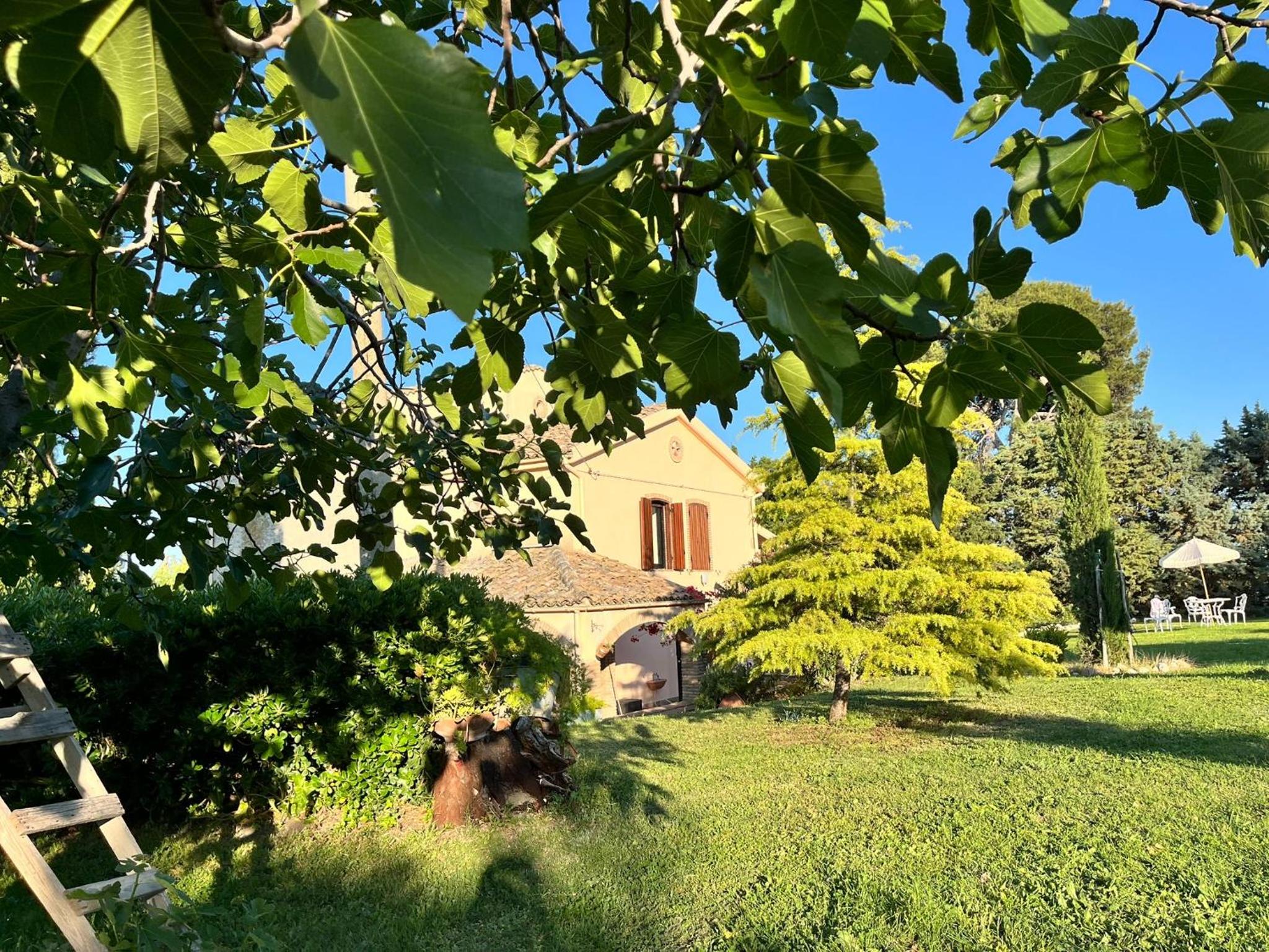 Casale la Civetta view 3