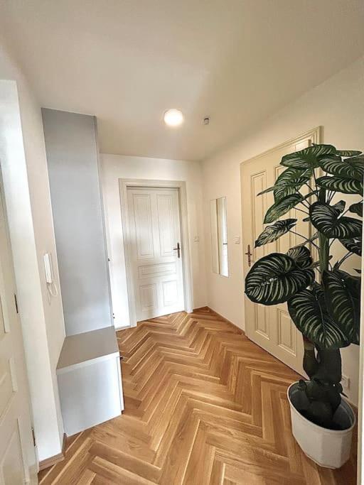 NewAPT next to Wenceslas Square