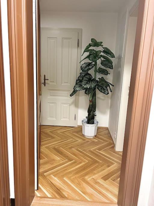 NewAPT next to Wenceslas Square