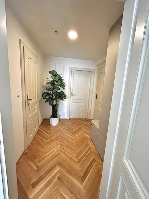 NewAPT next to Wenceslas Square