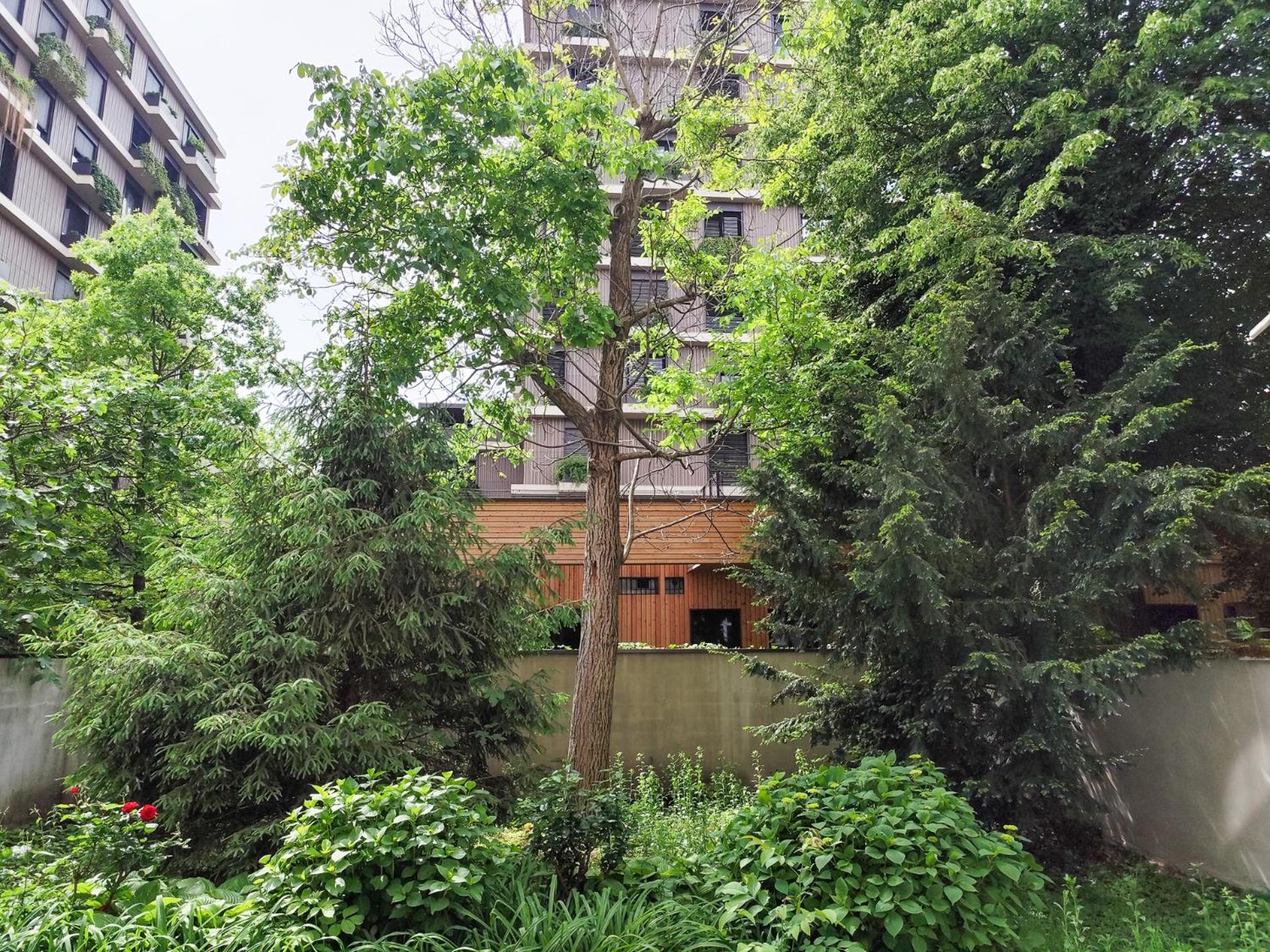 Apartman Panda