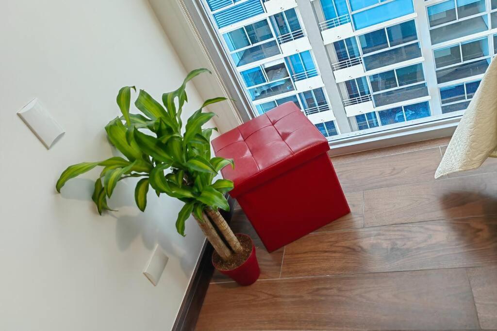 1208 Apartamento Barrio Escalante con Parqueo