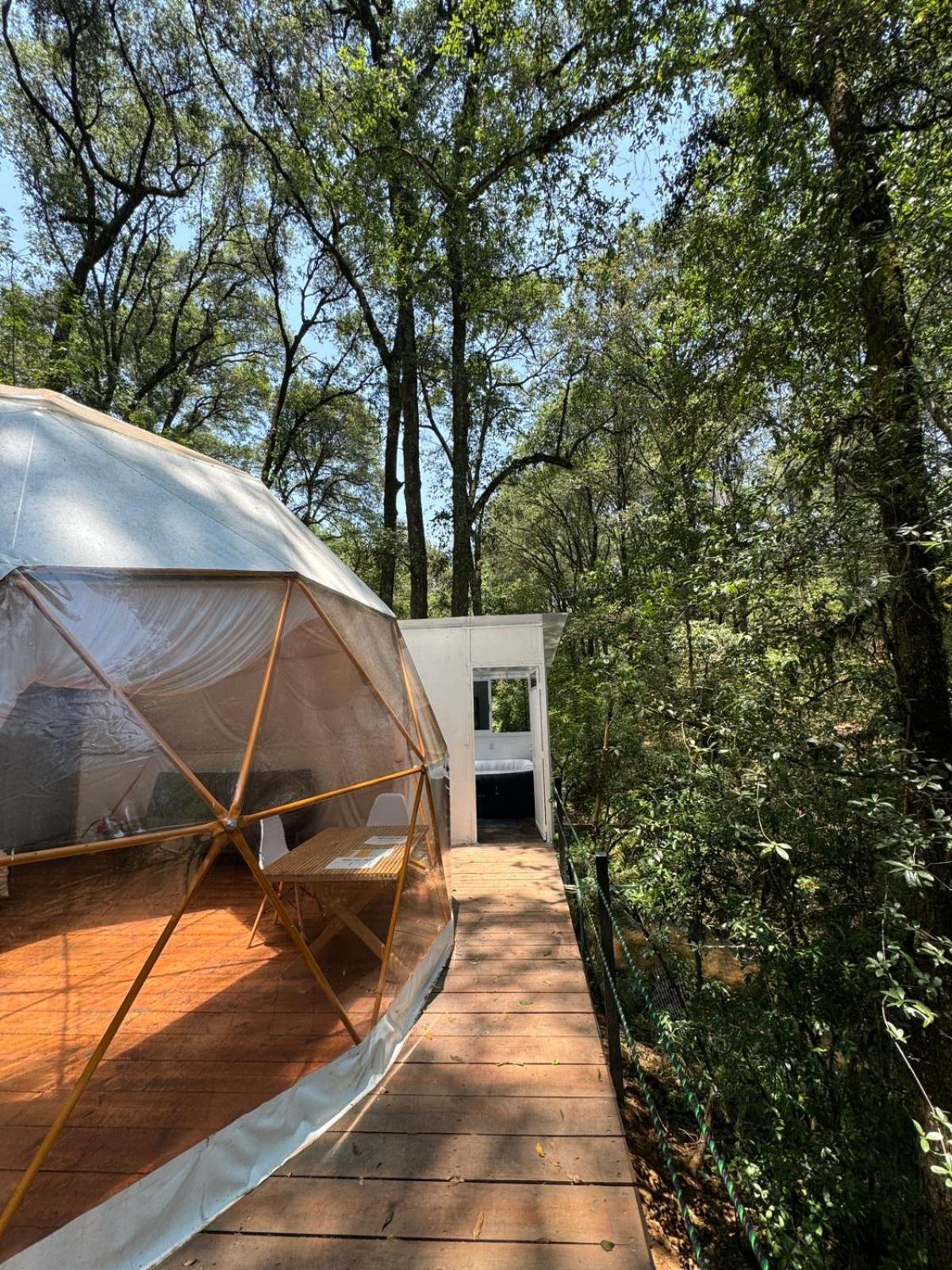 MANDALA CAMP view 3