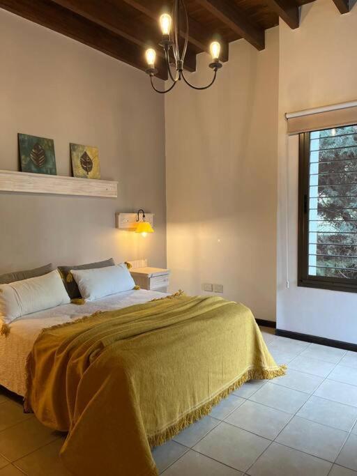 Casa Médano de Oro