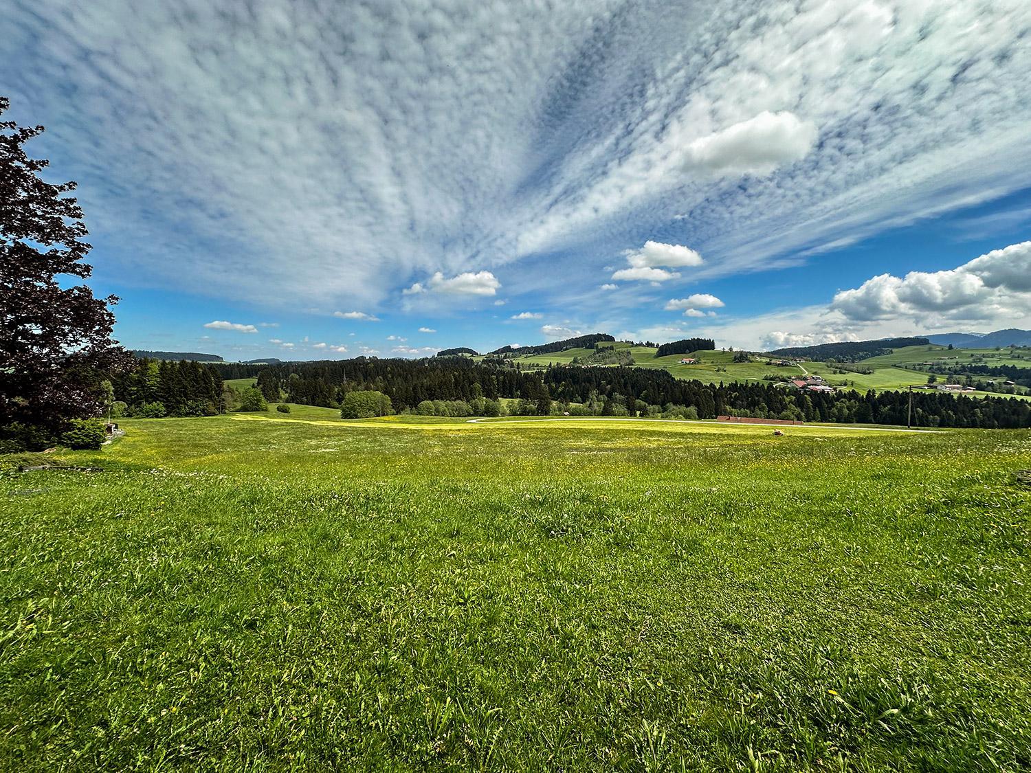Almenhof