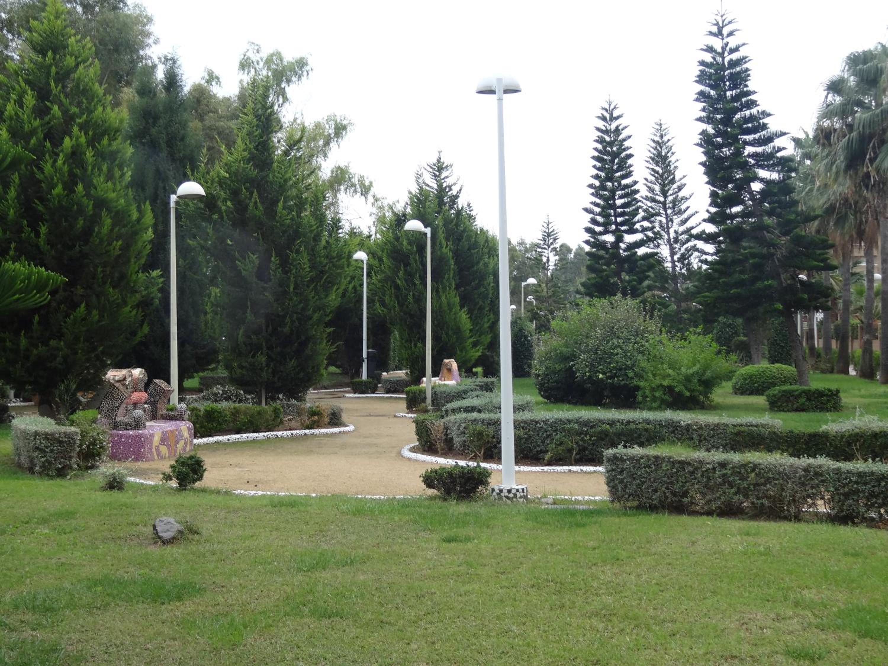 Photo 11