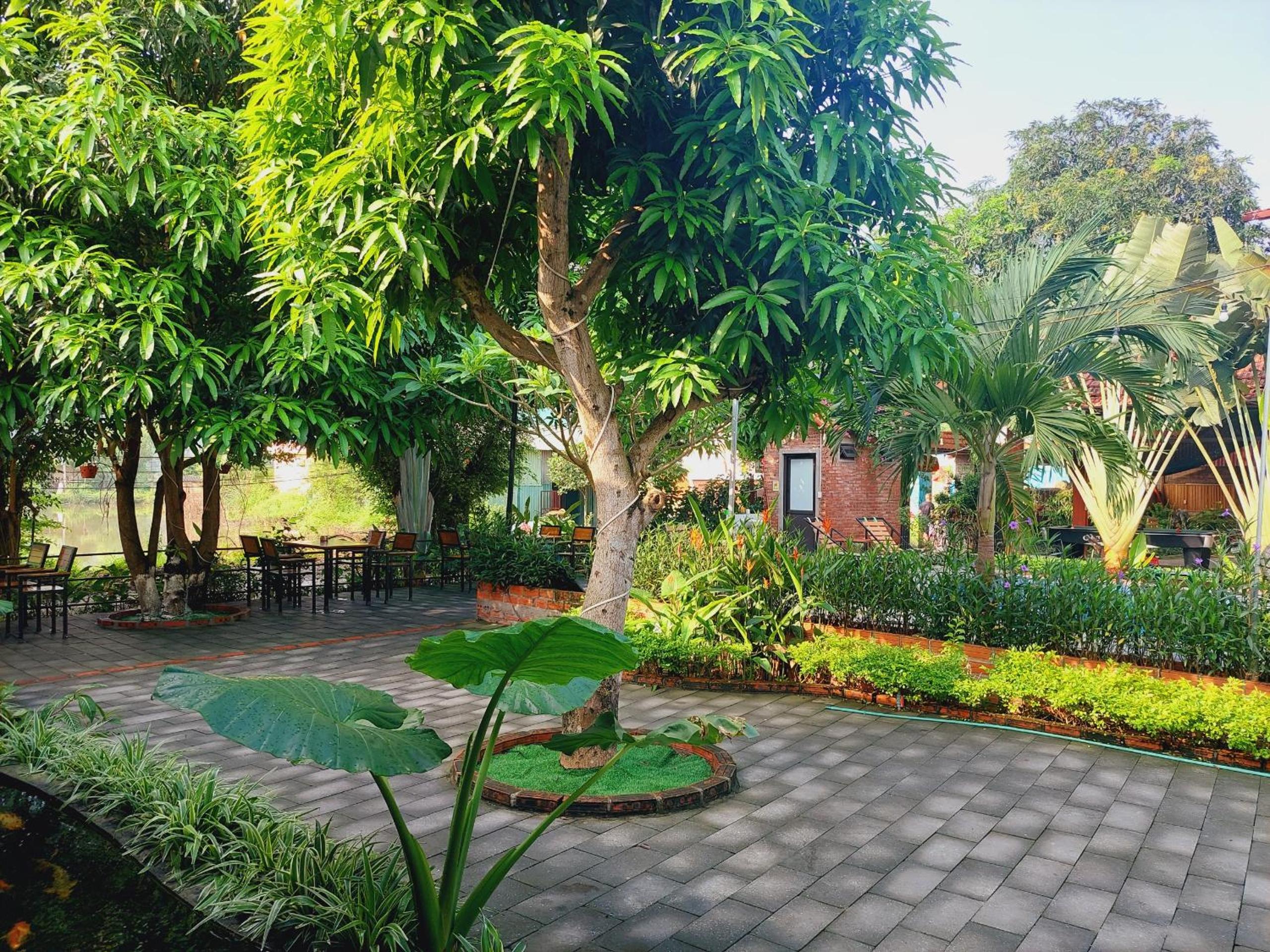 Ninh Binh Mountain Side Homestay & Cafe